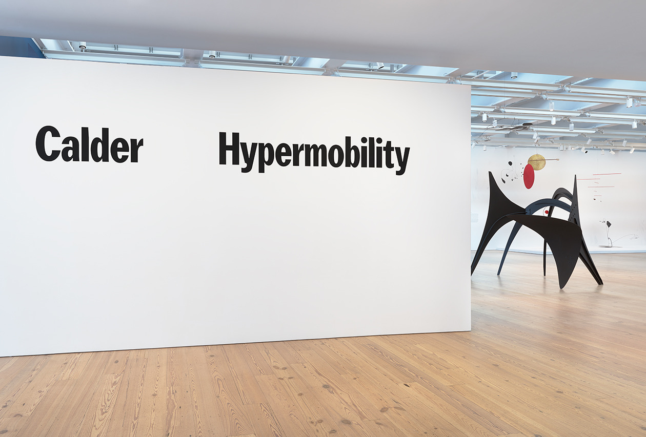 shadowsock 4.2.5 apk