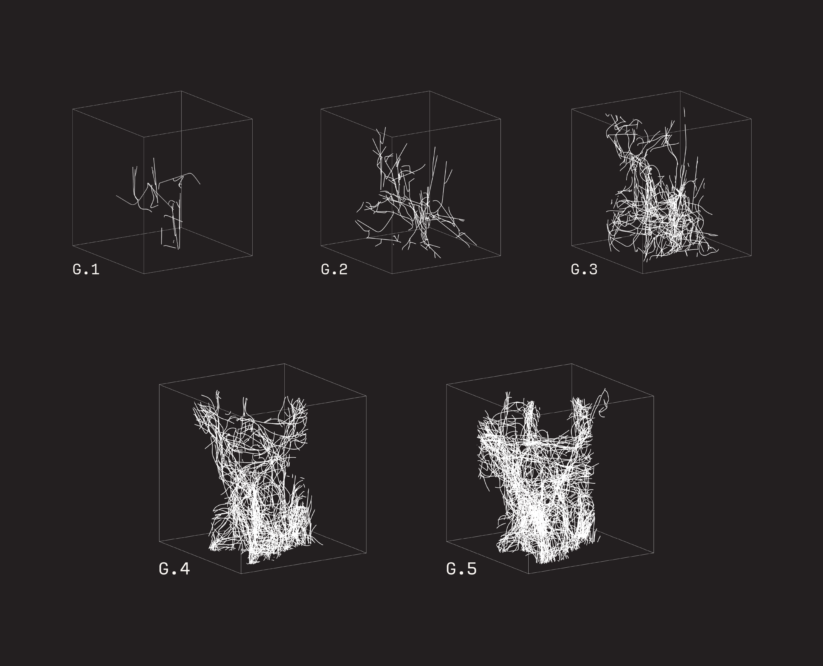 Urbanmycelialnetwork Brendan Callan