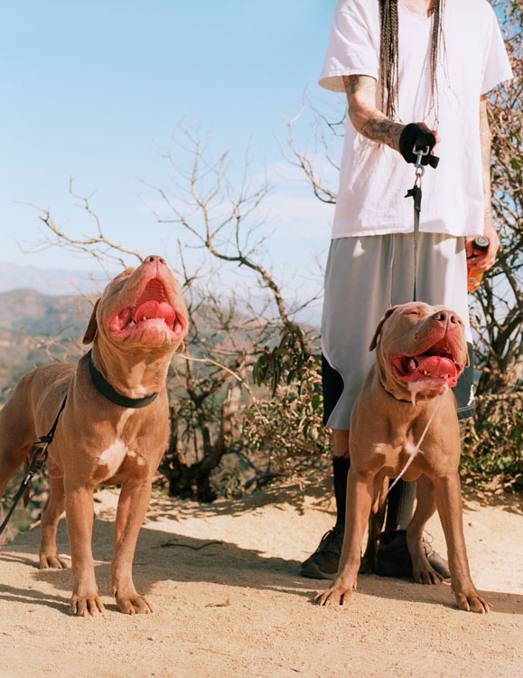 挂梯子上外网教程