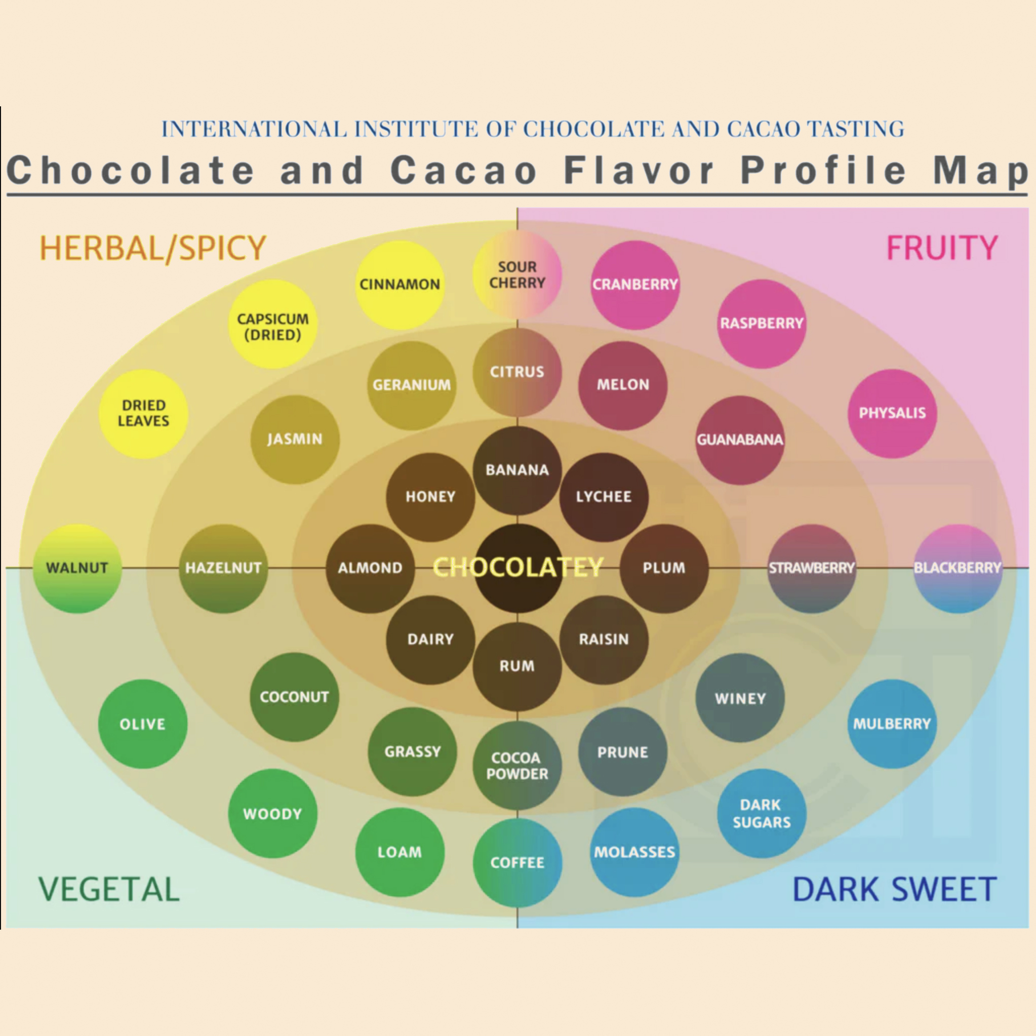 Chocolate And Cacao Flavor Profile Map Amada Selva Rosy Kantu