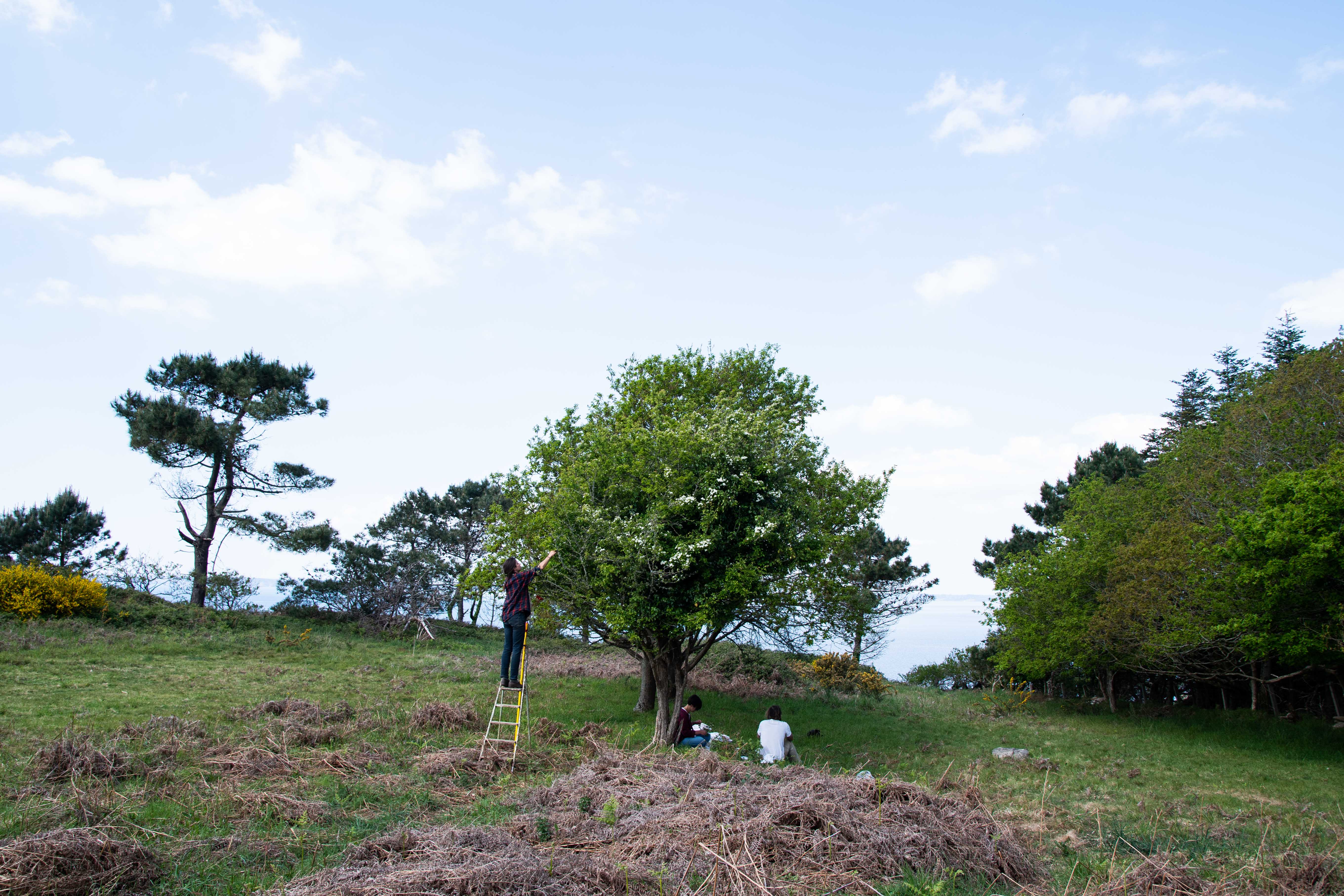 Paysannes Herboristes Aux Quatre Saisons Morgan Bisson