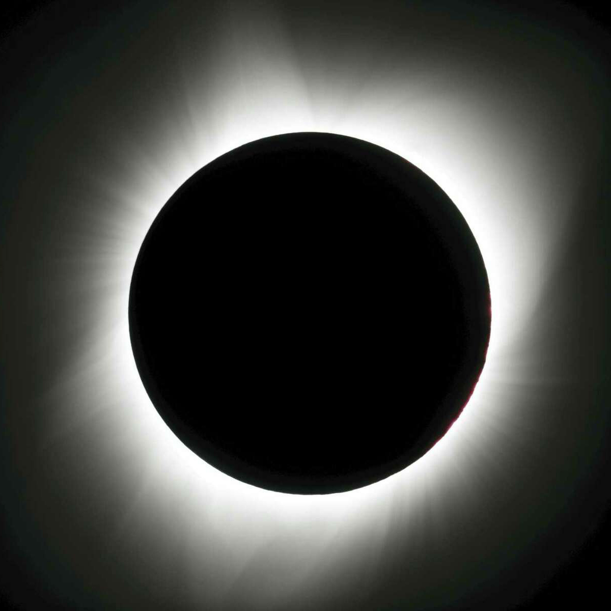 Pleasure / Kevin Brainard