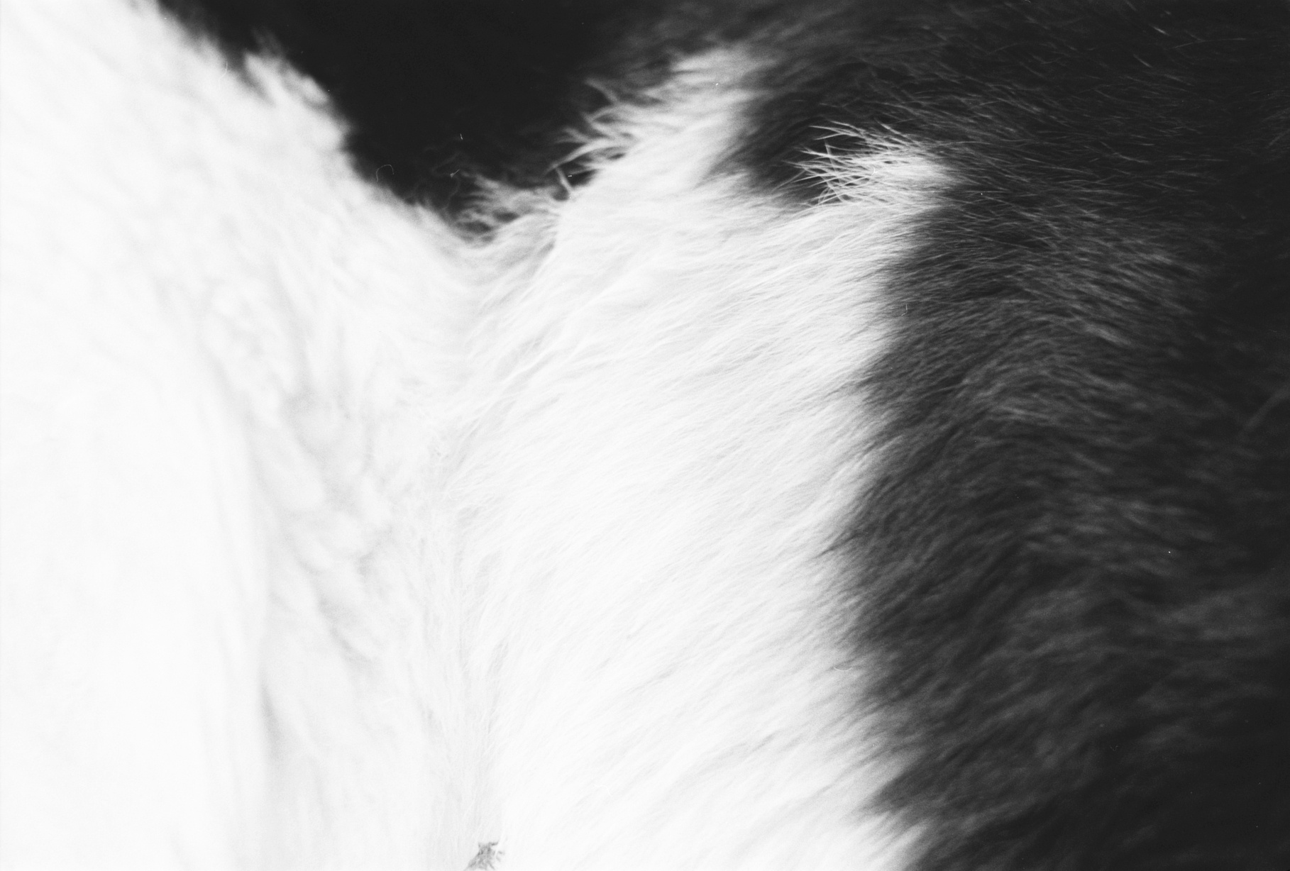 about-theresa-roxburgh