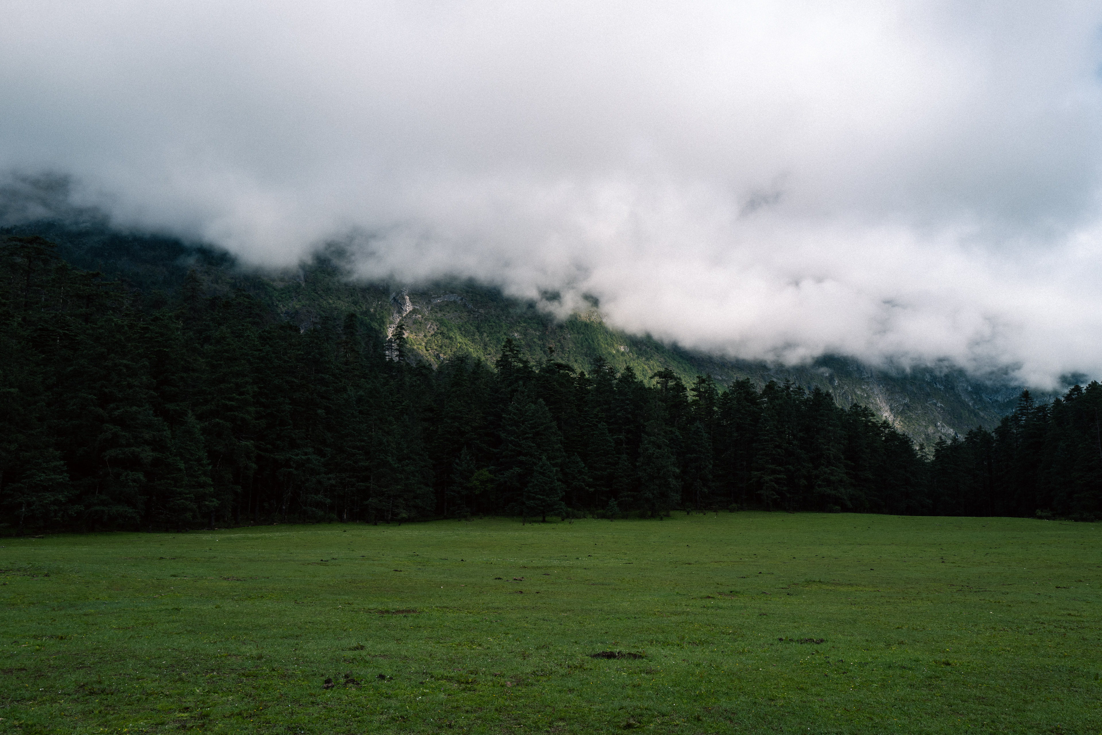 Yunnan