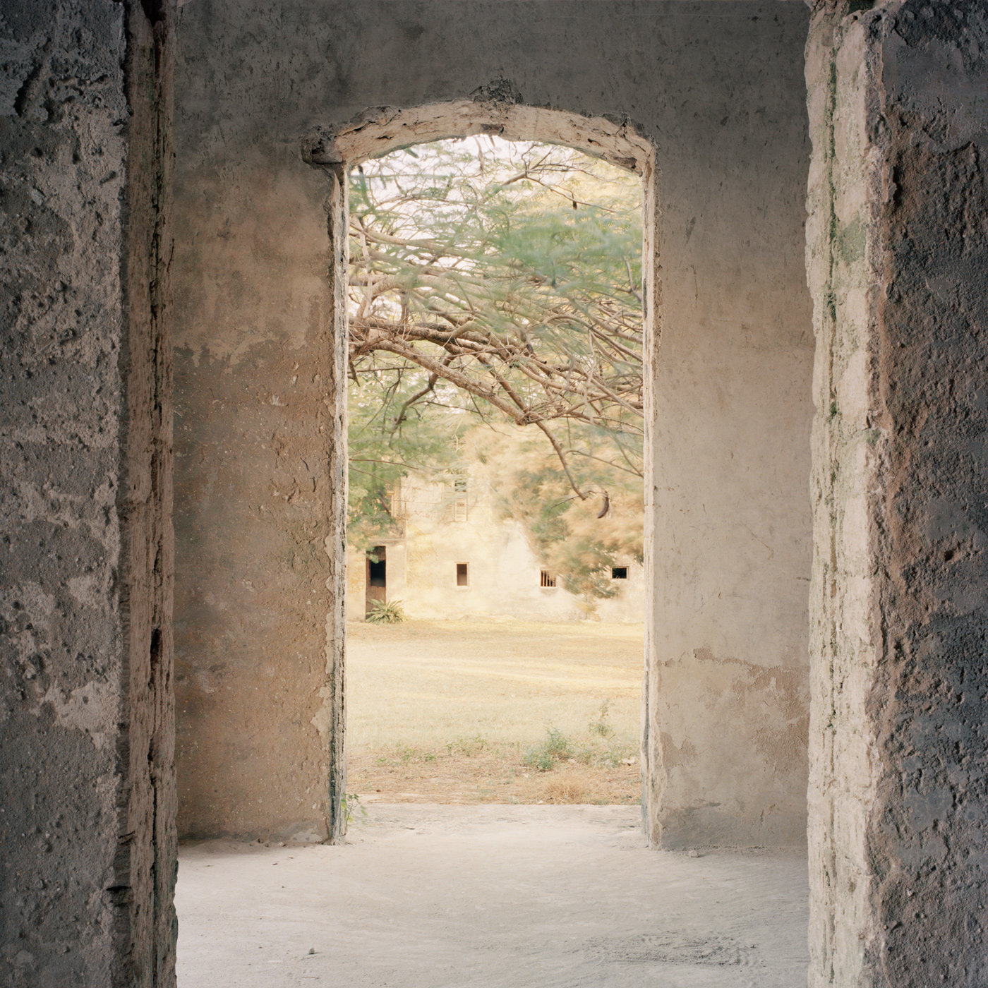 Bagamoyo Boma, 2019