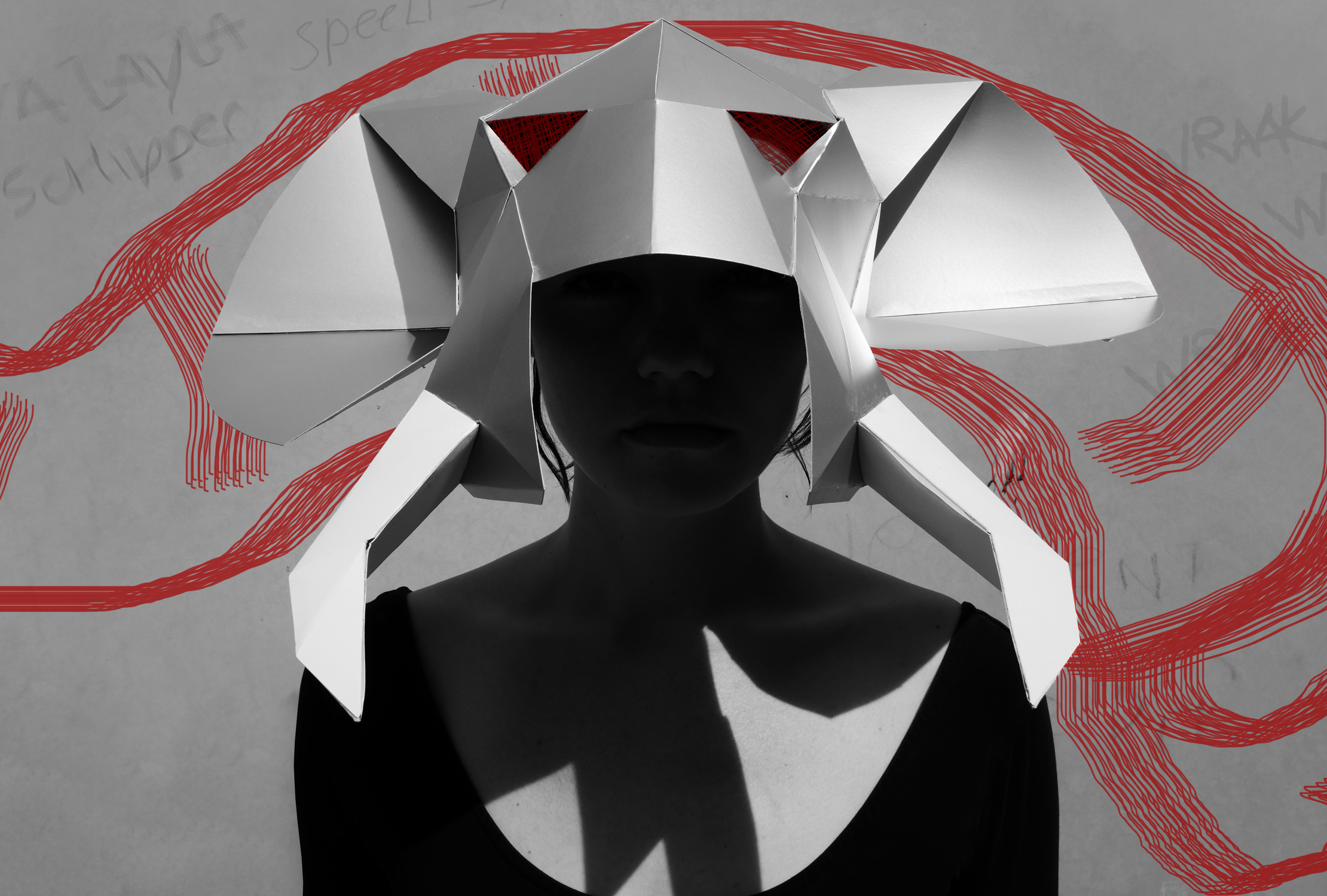 ELEPHANT IN THE ROOM   Eva Layla    