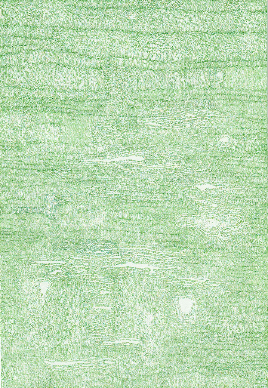 Clement Bagot, Yfi 05, 2023, Encre sur papier, 18 x 26 cm, Courtesy Galerie 8+4