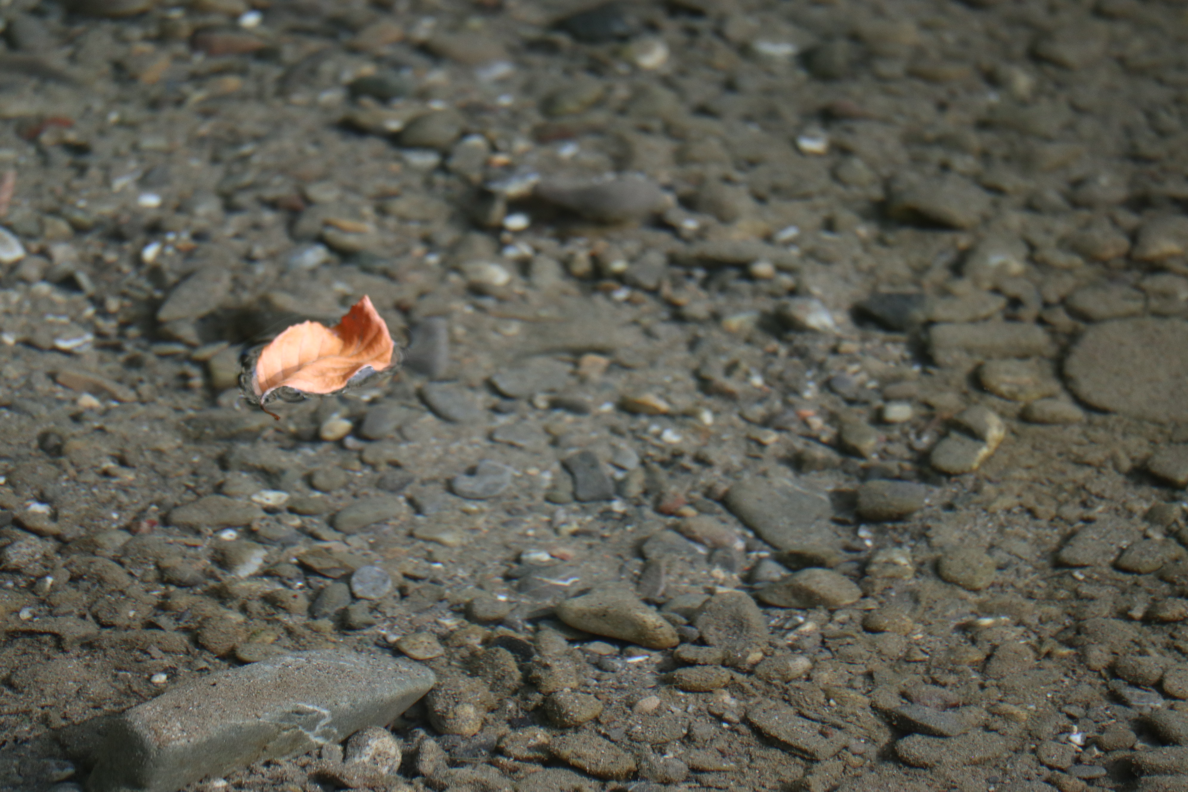 Entspannen und treiben lassen