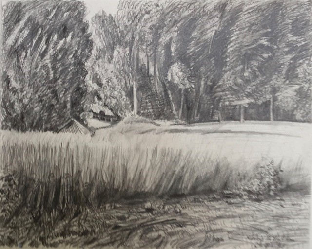 Korenveld in Merry 1990 - pencil 20x25 cm