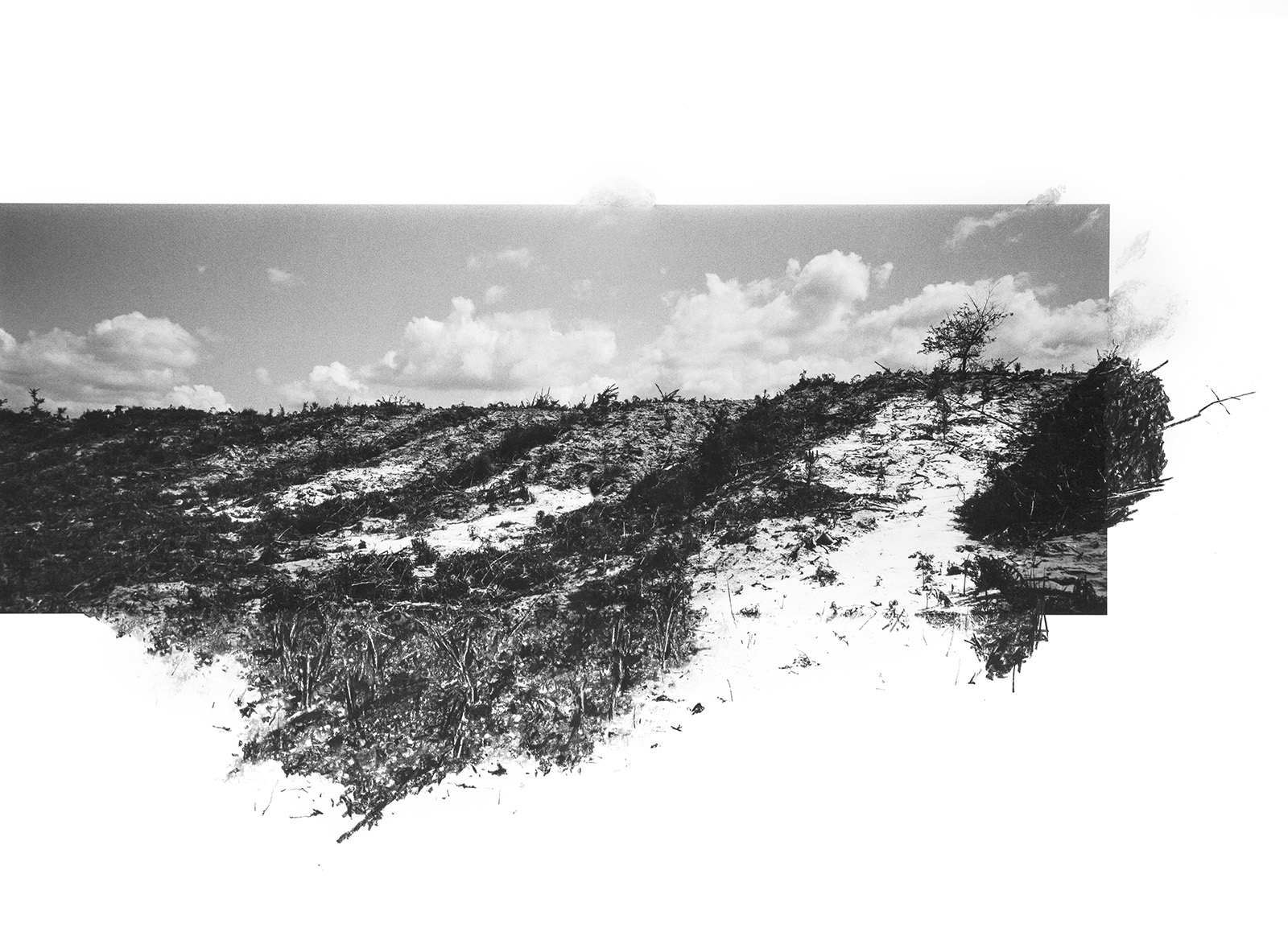 © Dana COJBUCTrace de silence #05courtesy Galerie Catherine Putman