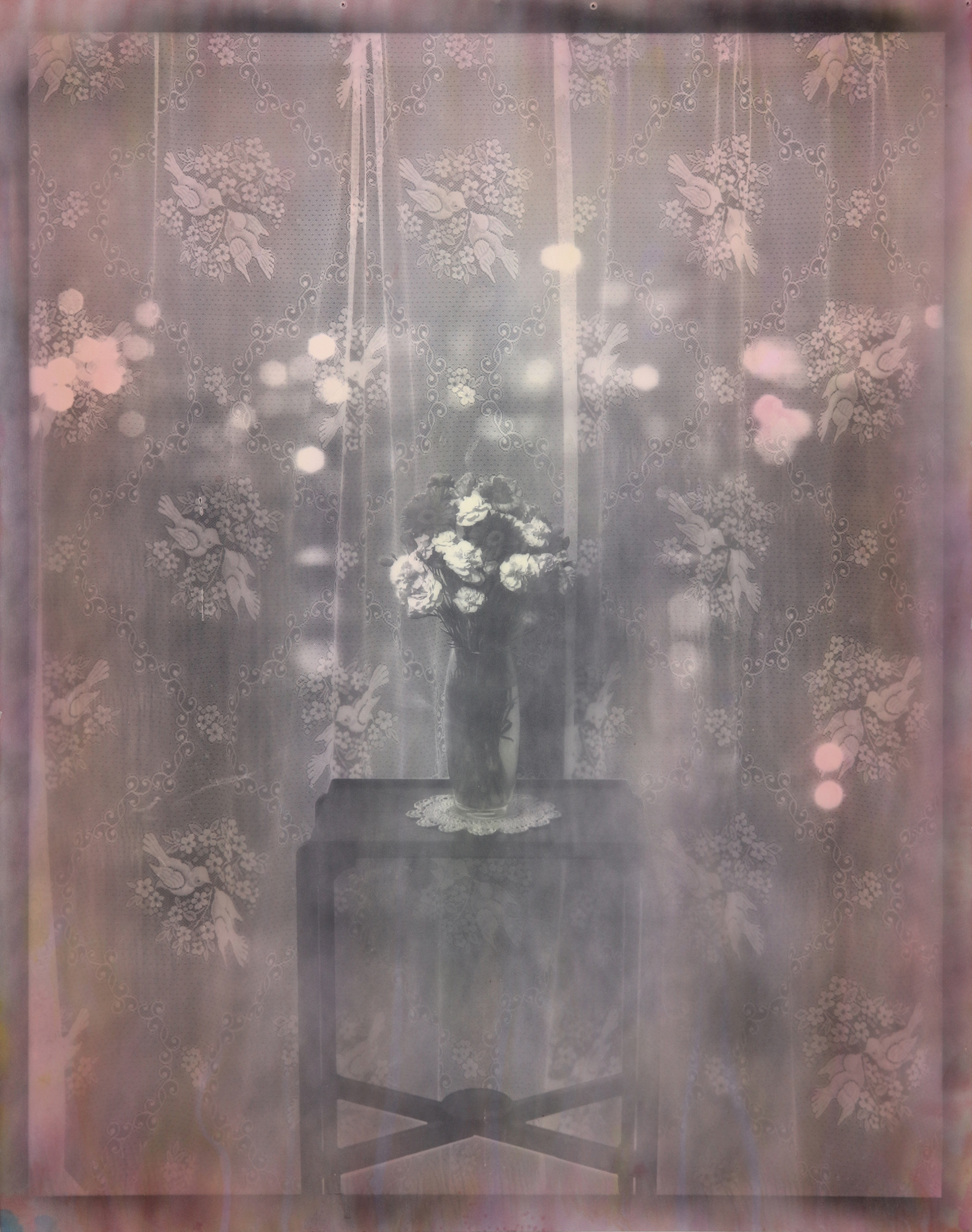 Untitled (Love Birds)  Silver Gelatin And Acrylic Ink on 300gsm Saunders Waterford Paper 195 x 152 cm