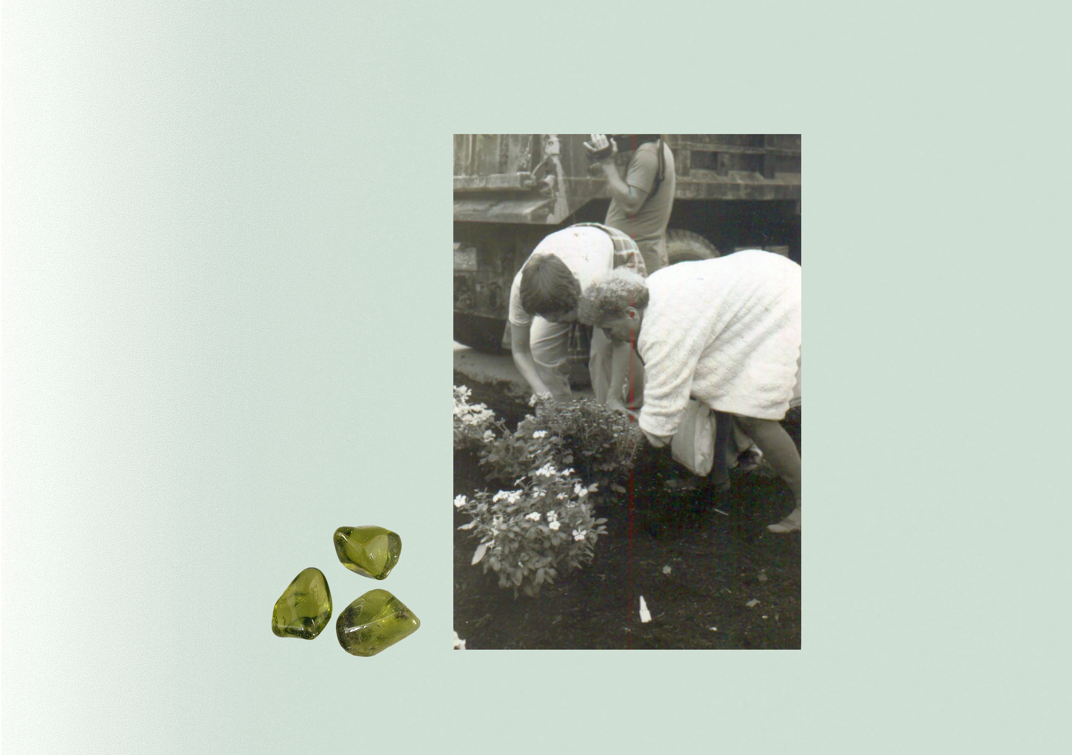 Theater Works : The Performing Element | Julyen Hamilton