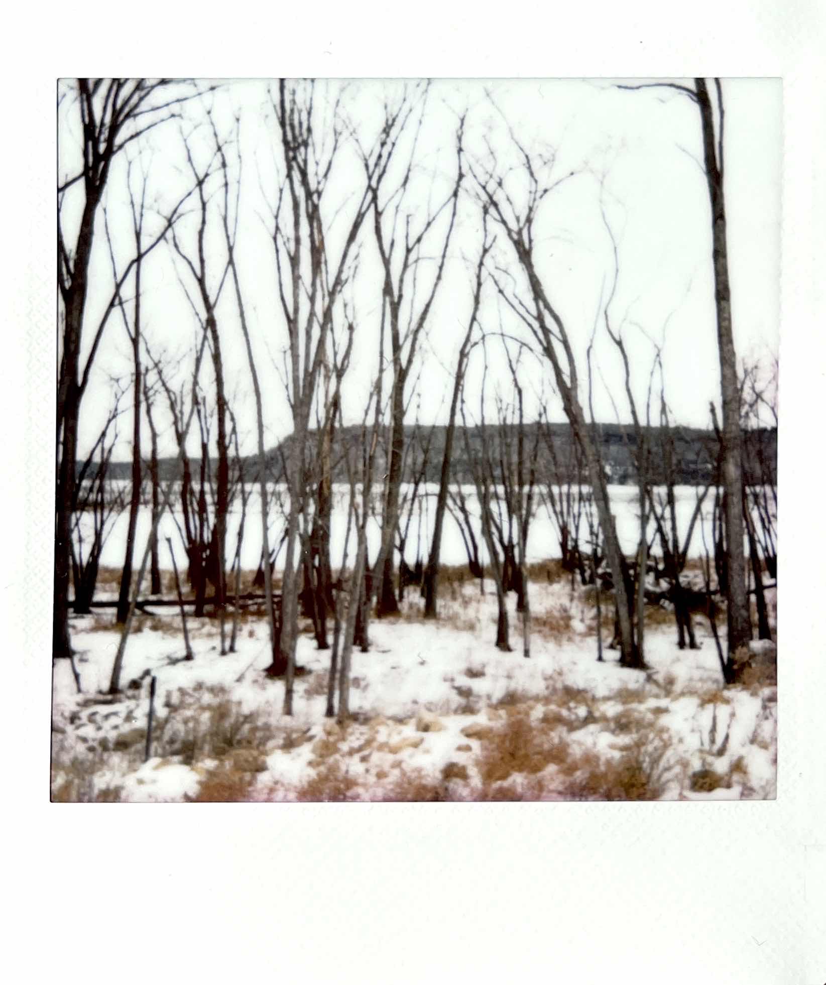 Steamboat Park, Afton, MN. Photo by Sophie Durbin