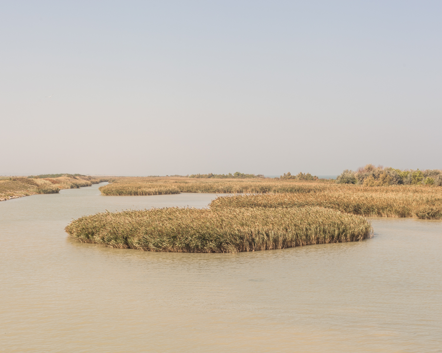 Bocasette 2012, Italy