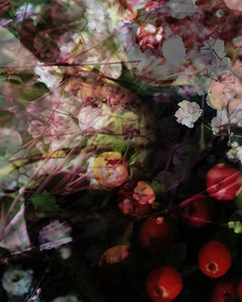 Floral Collage 18