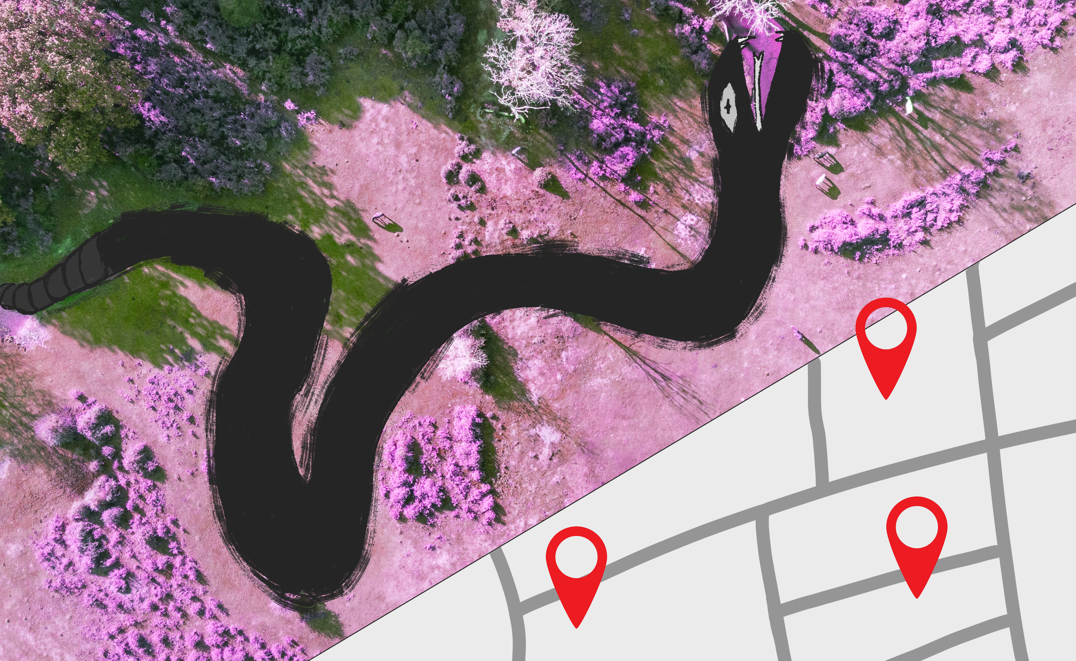 Web graphic for "Toxic Tours" on Beyond Sustainability Collective website