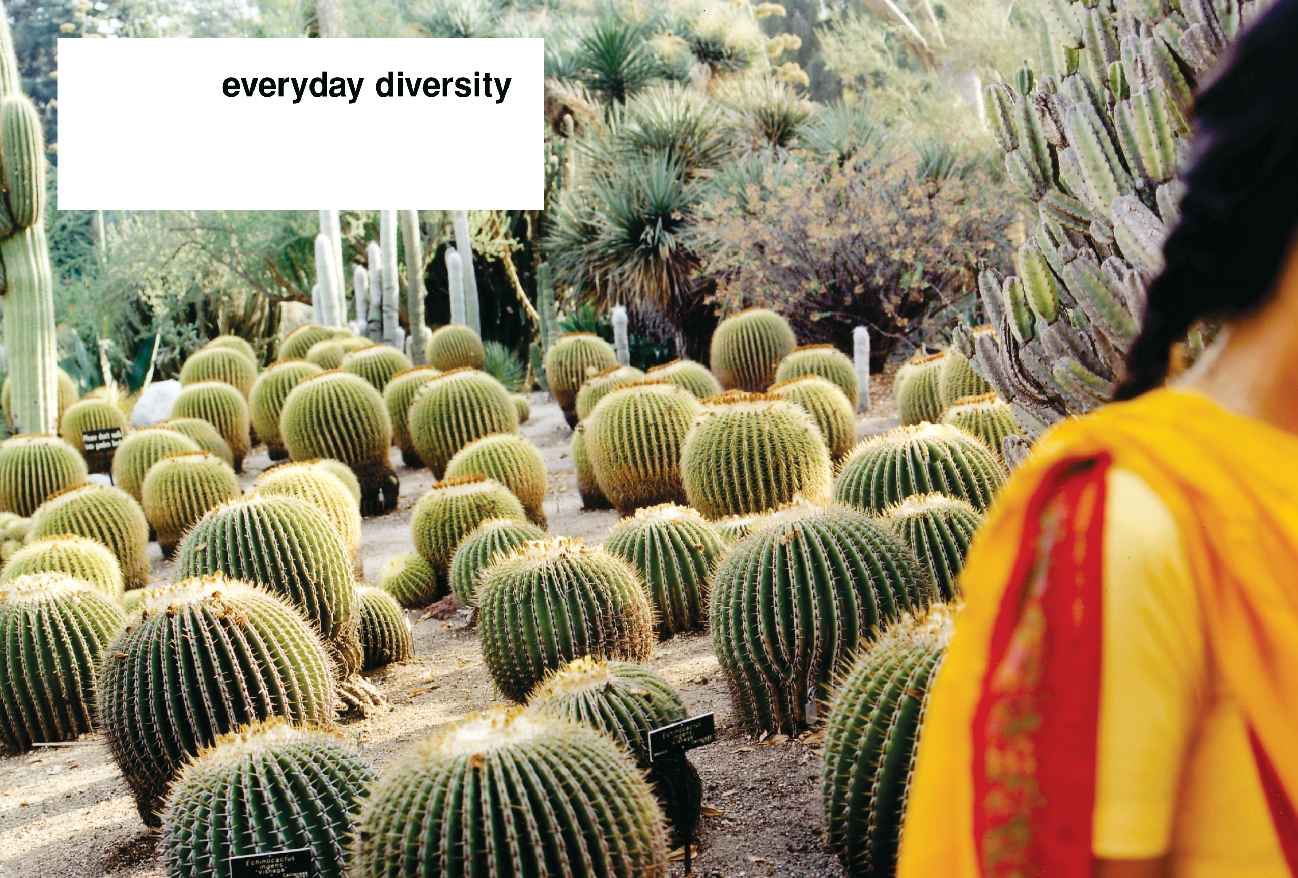 Everyday IBM: Global Brand Book, inside spread.