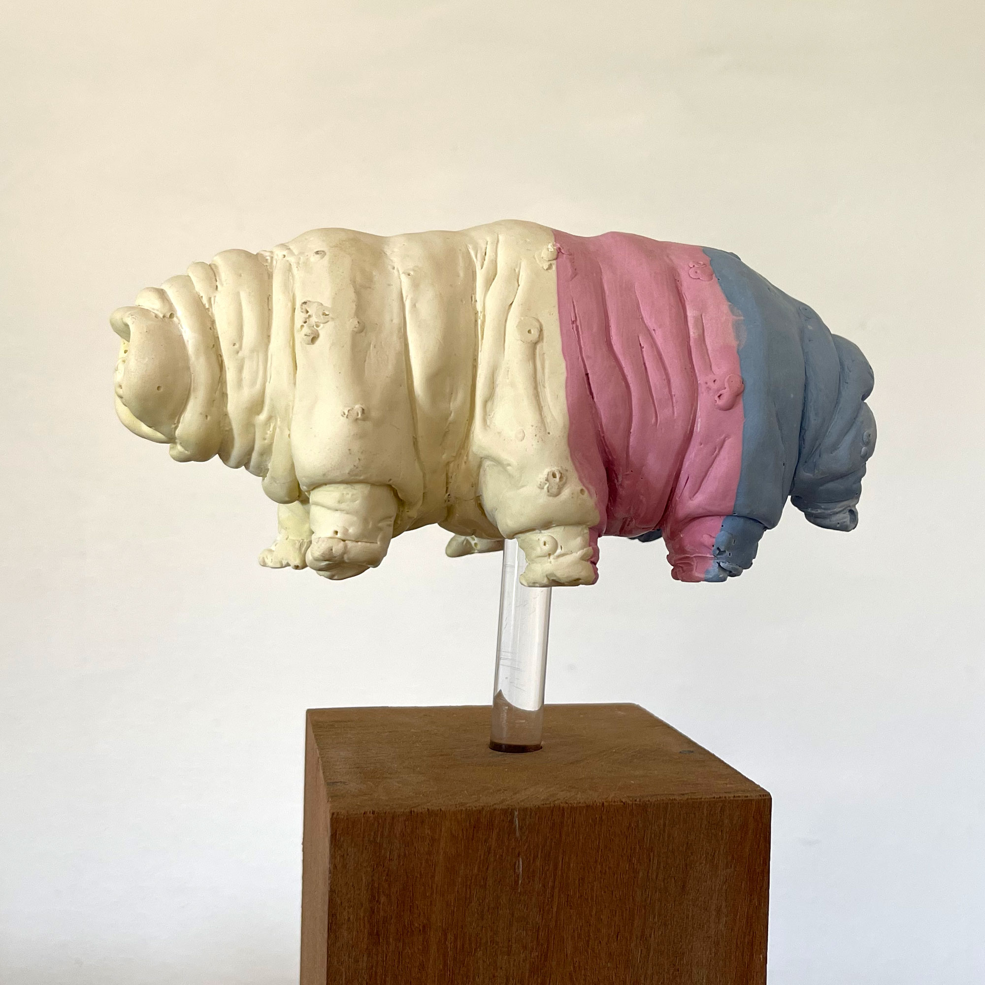 Battenberg Tardy, jesmonite, wood, perspex, 23 x 17 x 9 cm