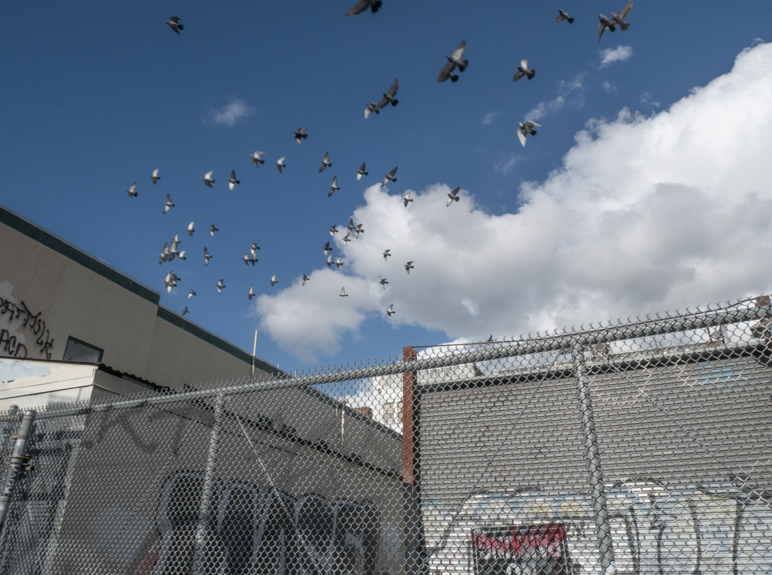 372 7th Street, Oakland