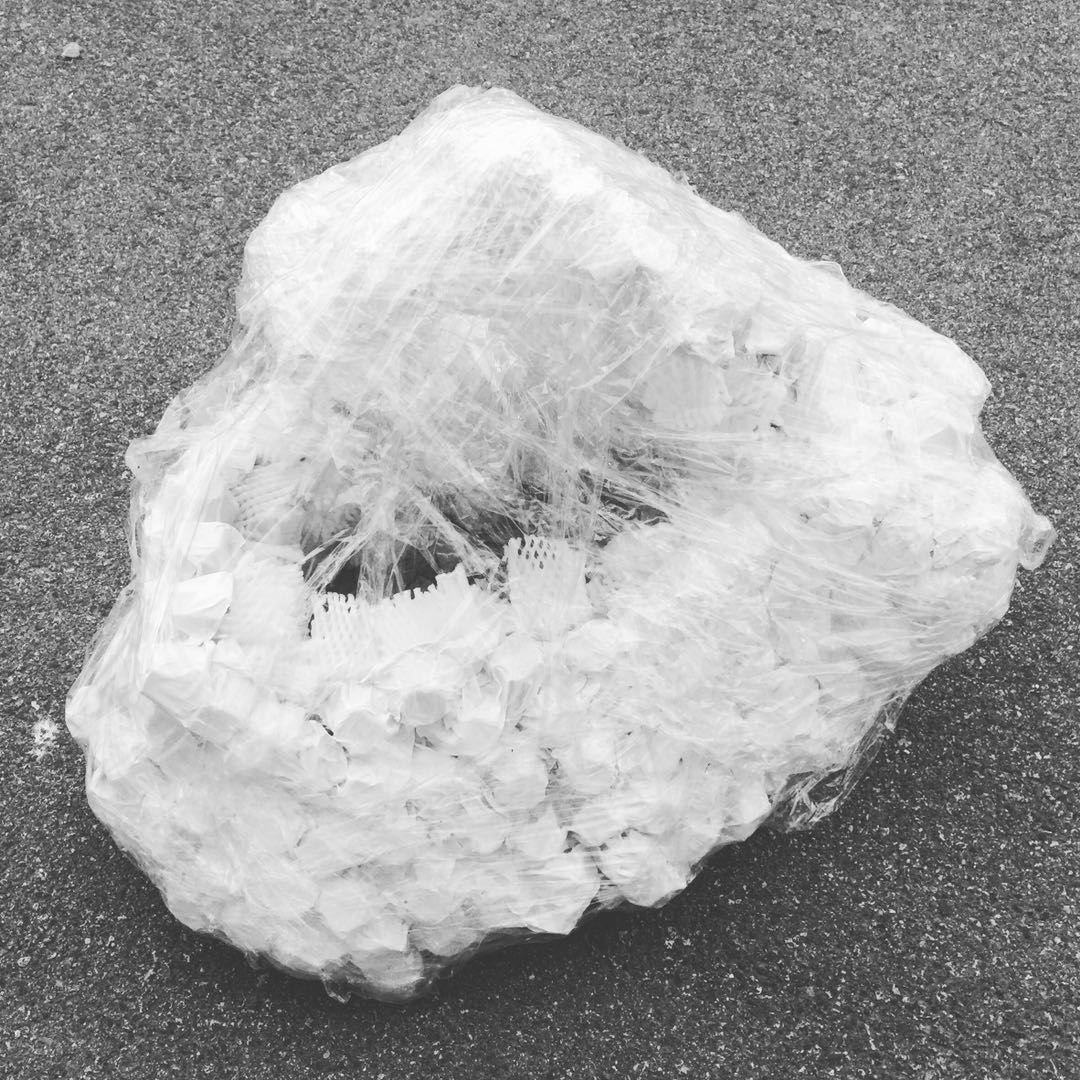 White Coral