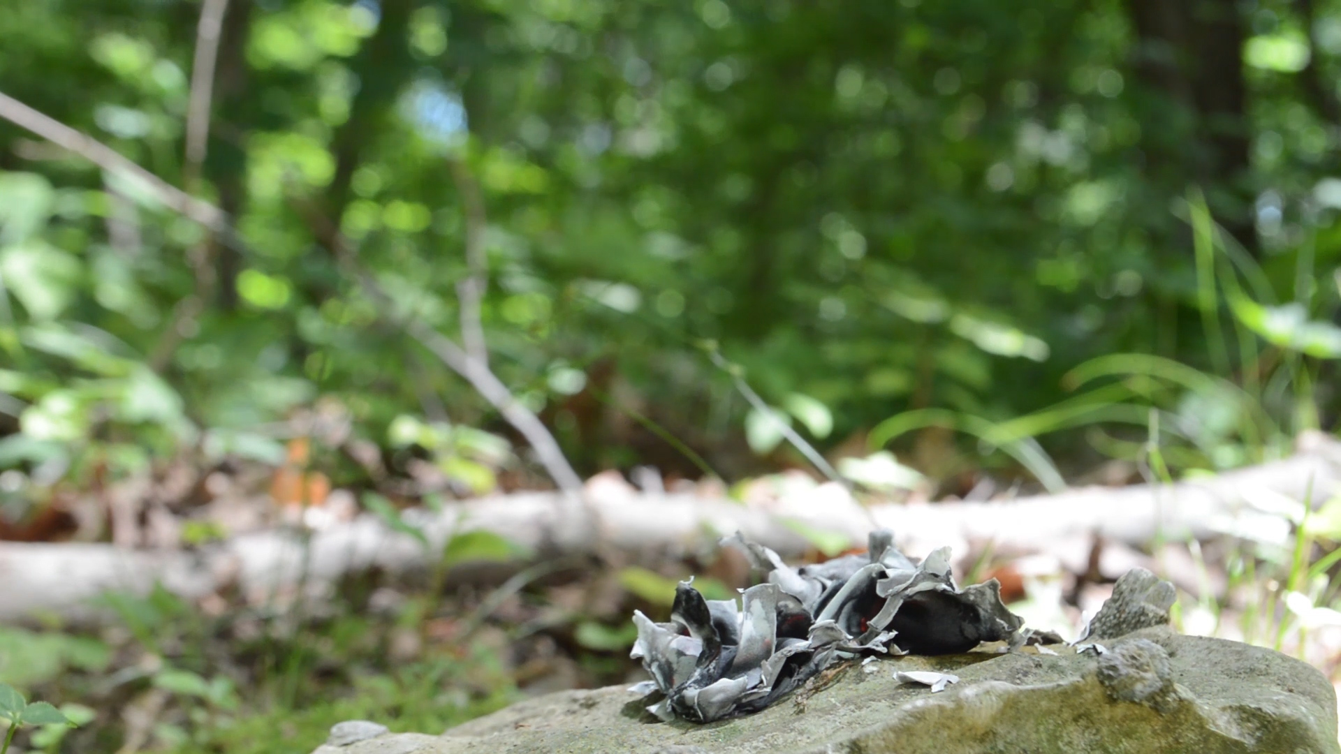 Still from Rewinding Time series, Paper and Fire2017Single channel video with sound2 minutes 14 seconds