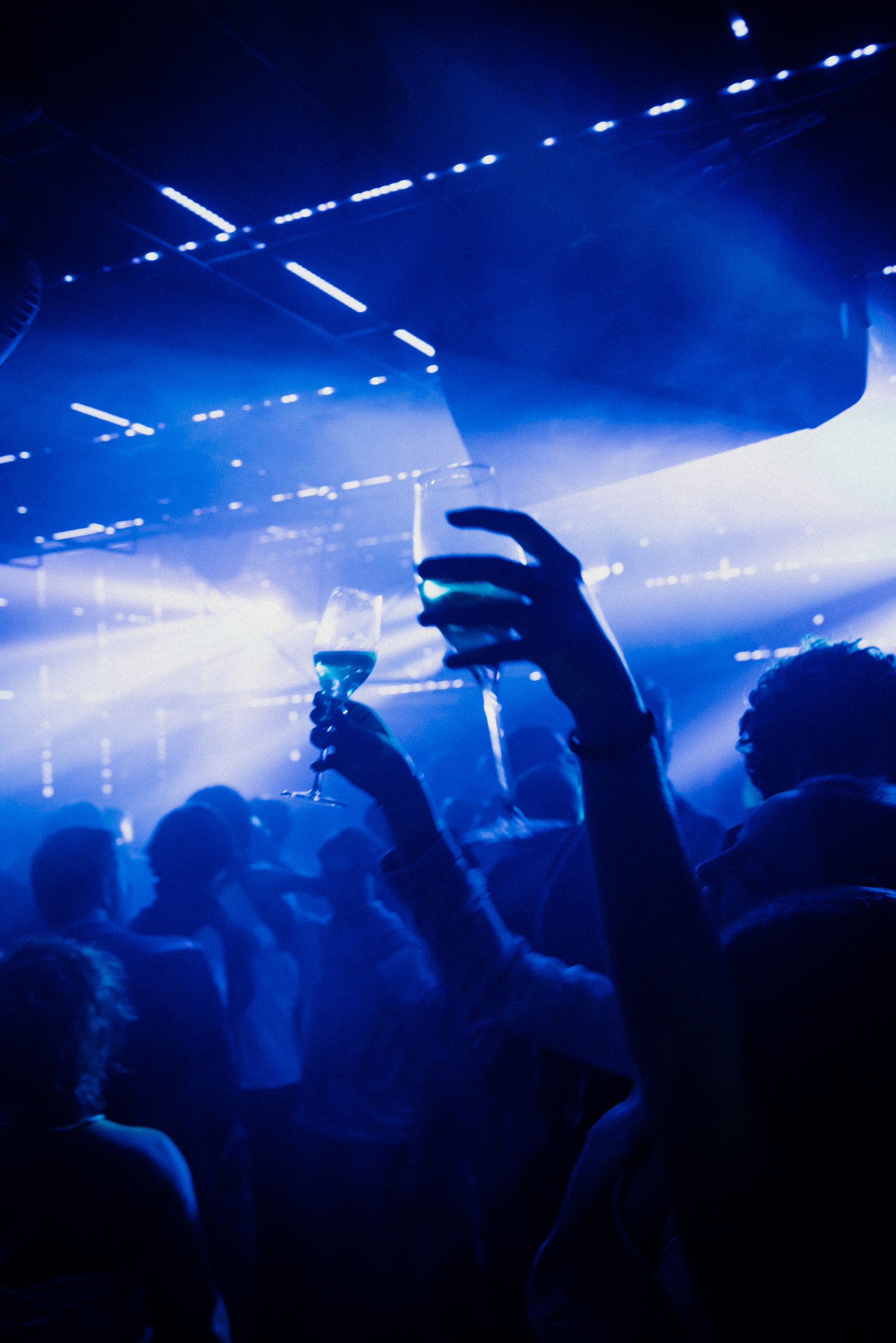 "Der Kurator der Nacht" / DIE ZEIT