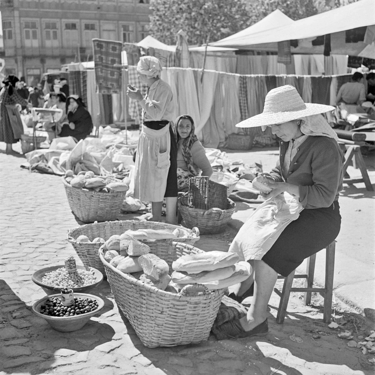 Artur Pastor - Série Vindimas - 1950