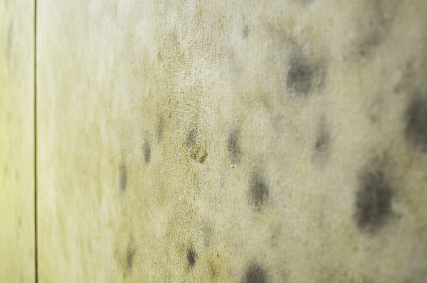 Llun gan/Picture by: GalleryTEN, Caerdydd / Cardiff