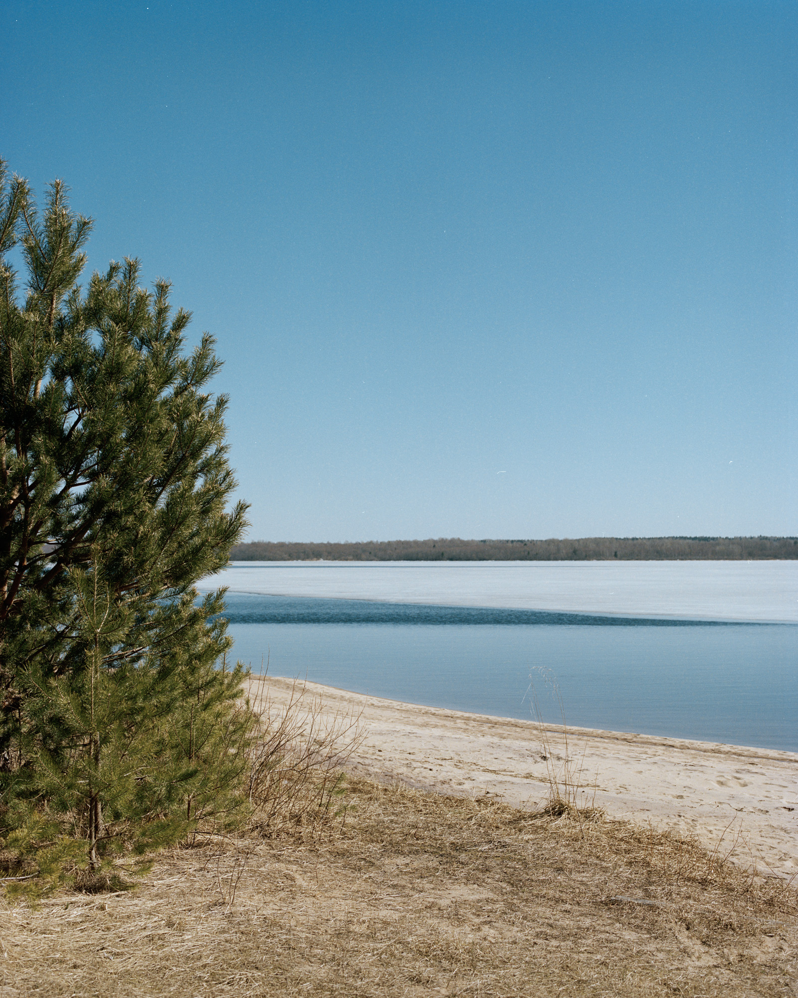 Lake Vselug, Torg, Tverskaya Oblast, Russia 2019