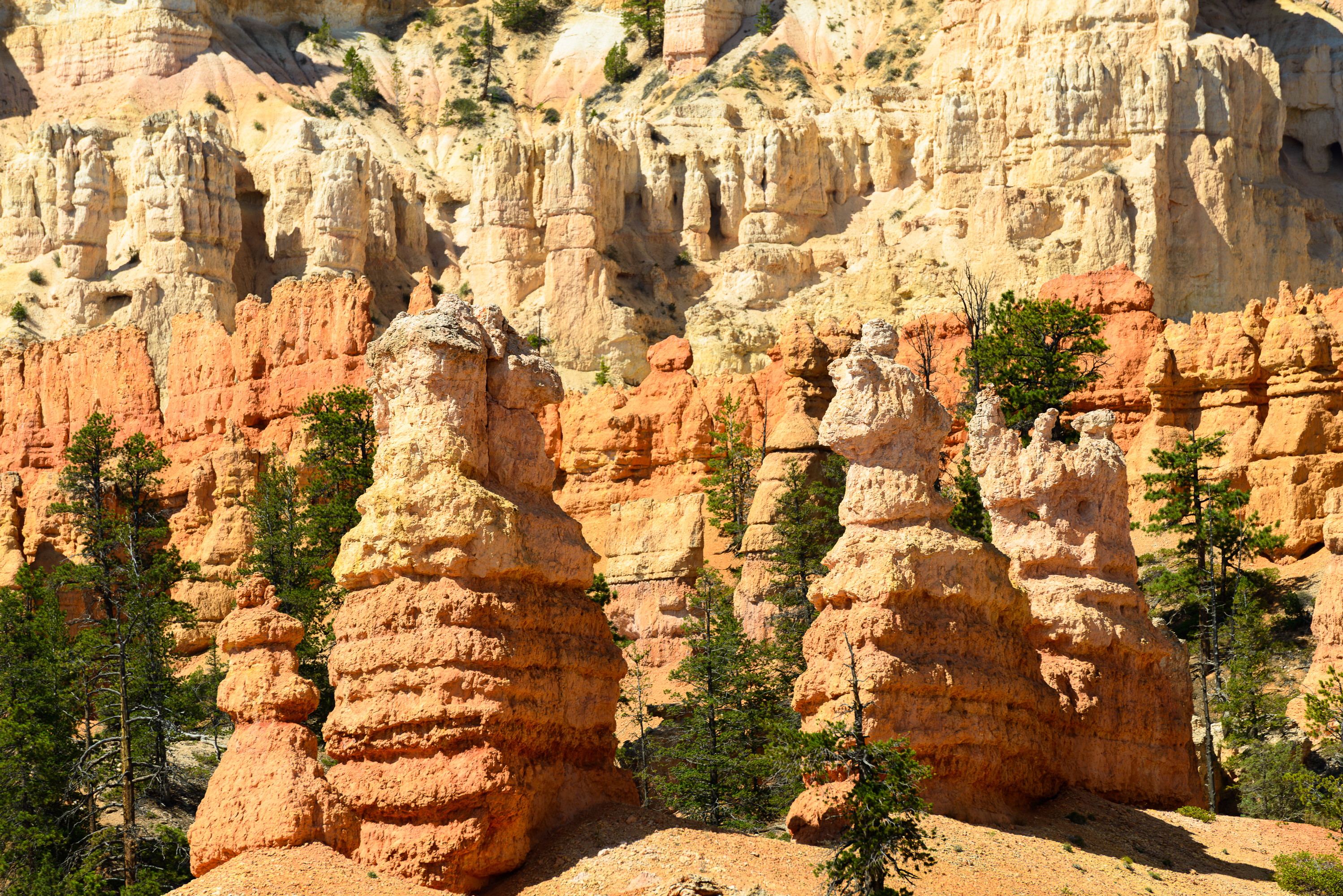 Bryce Canyon National Park (nom d'un charpentier mormon) situé dans le Sud de l'Utah avec ses hoodoos (cheminées de fée).