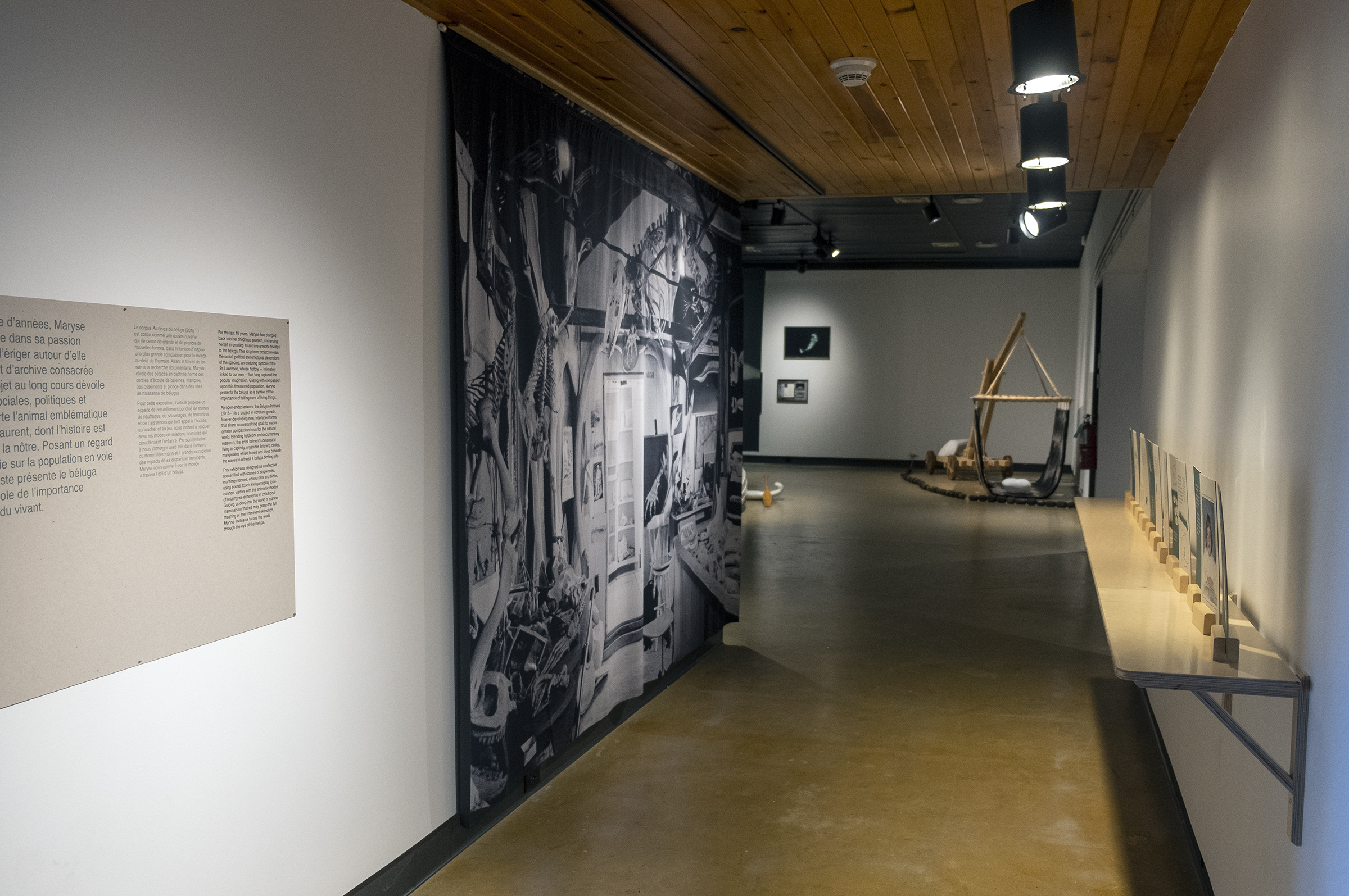 Dans l'œil du béluga, Galerie d’art Louise-et-Reuben-Cohen de l'Université de Moncton, 2025