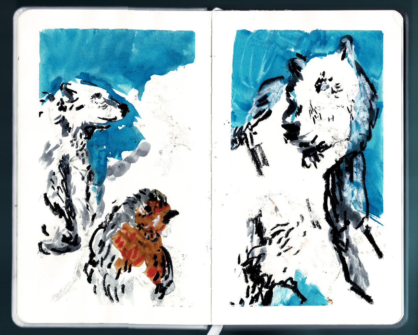 Sketchbook studies of a robin and polar bears for my 2023 Christmas cards. Gouache, Graphite, Oil Pastel, October 2023.
