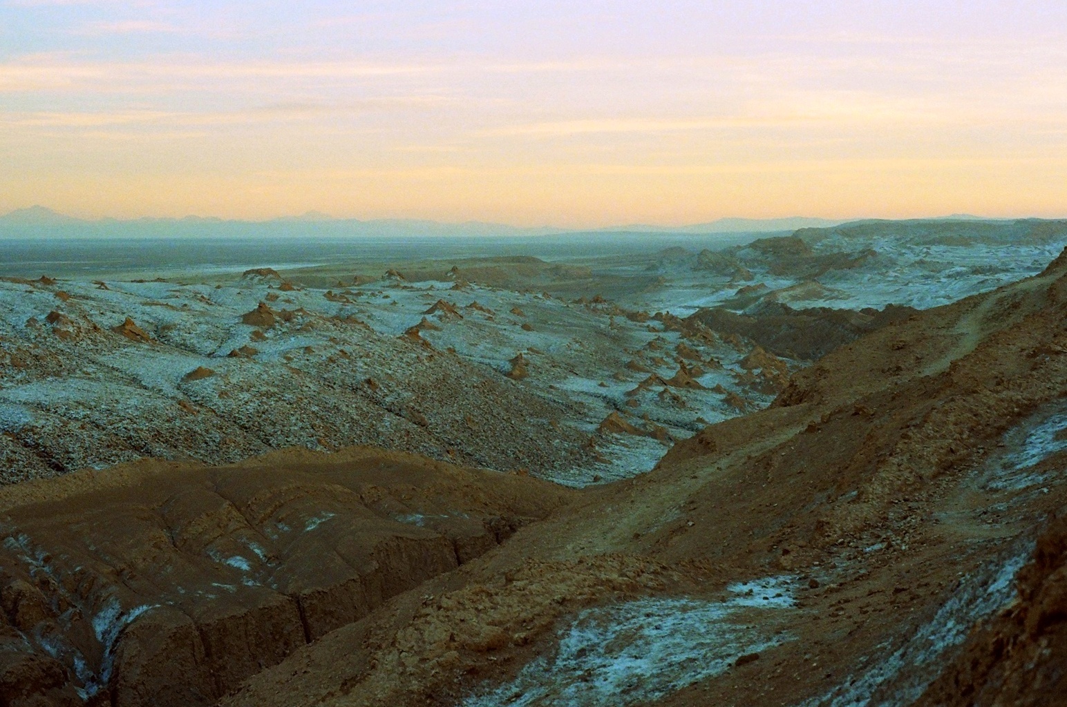 Into the Wild Photo Awards→ Commended by Yumi Goto, Associate Photo Editor at TIME Magazine