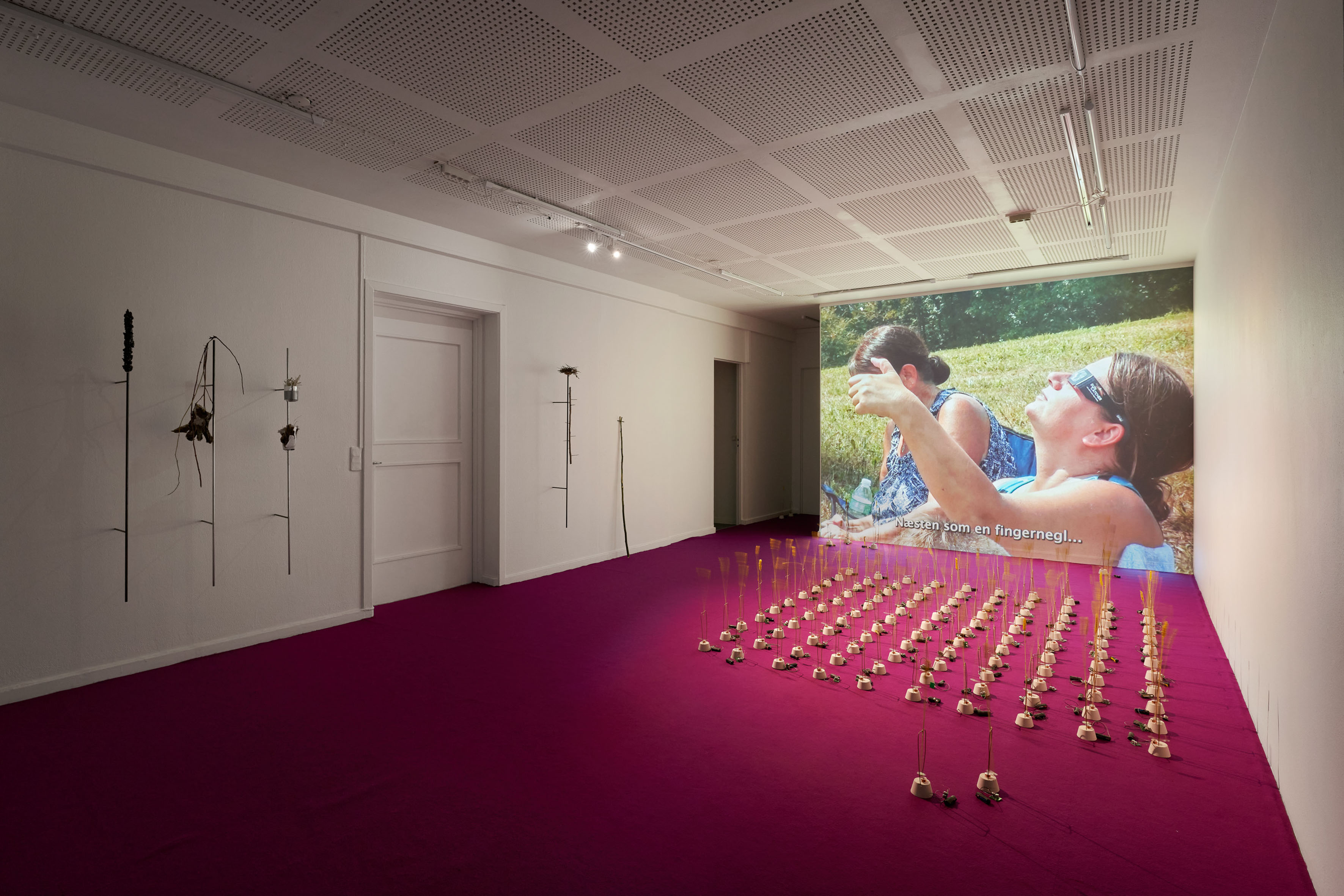 HUNTER GATHERERS with works by COLEY MIXAN, NICKY SPARRE-ULRICH, IDA SCHRADER, MARIA LEPISTÖ, NICKIE SIGURDSSON and CONSIDERED TO BE ALLIES at SYDHAVN STATION curated by MIE FREDERIKKE FISCHER and MARGAUX PARILLAUD [from 20240426 to 20240526] [Photo: Brian Kure]