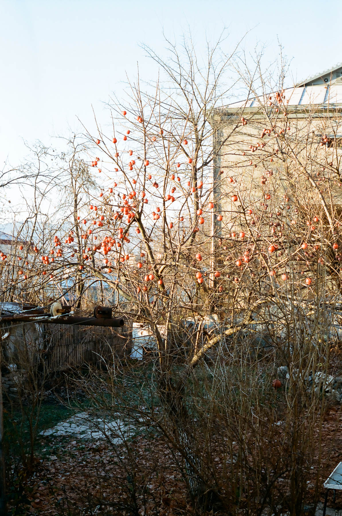 ‘Sight Walks’, Nagorno-Karabakh, 2018
