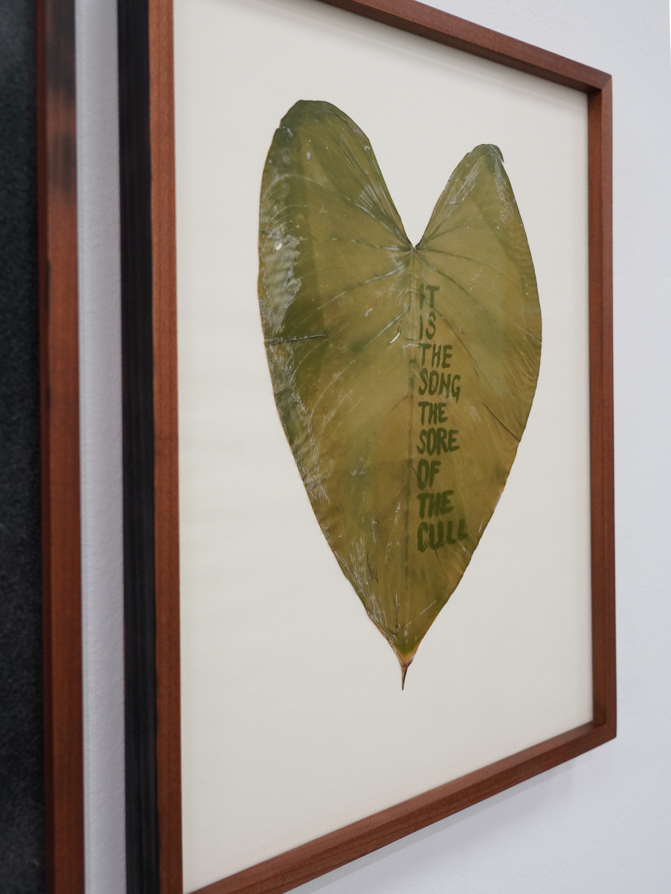 Contaminazioni, Giovane Fotografia Italiana | Premio Luigi Ghirri 2024, Palazzo dei Musei, Fotografia Europea, Reggio Emilia 2024