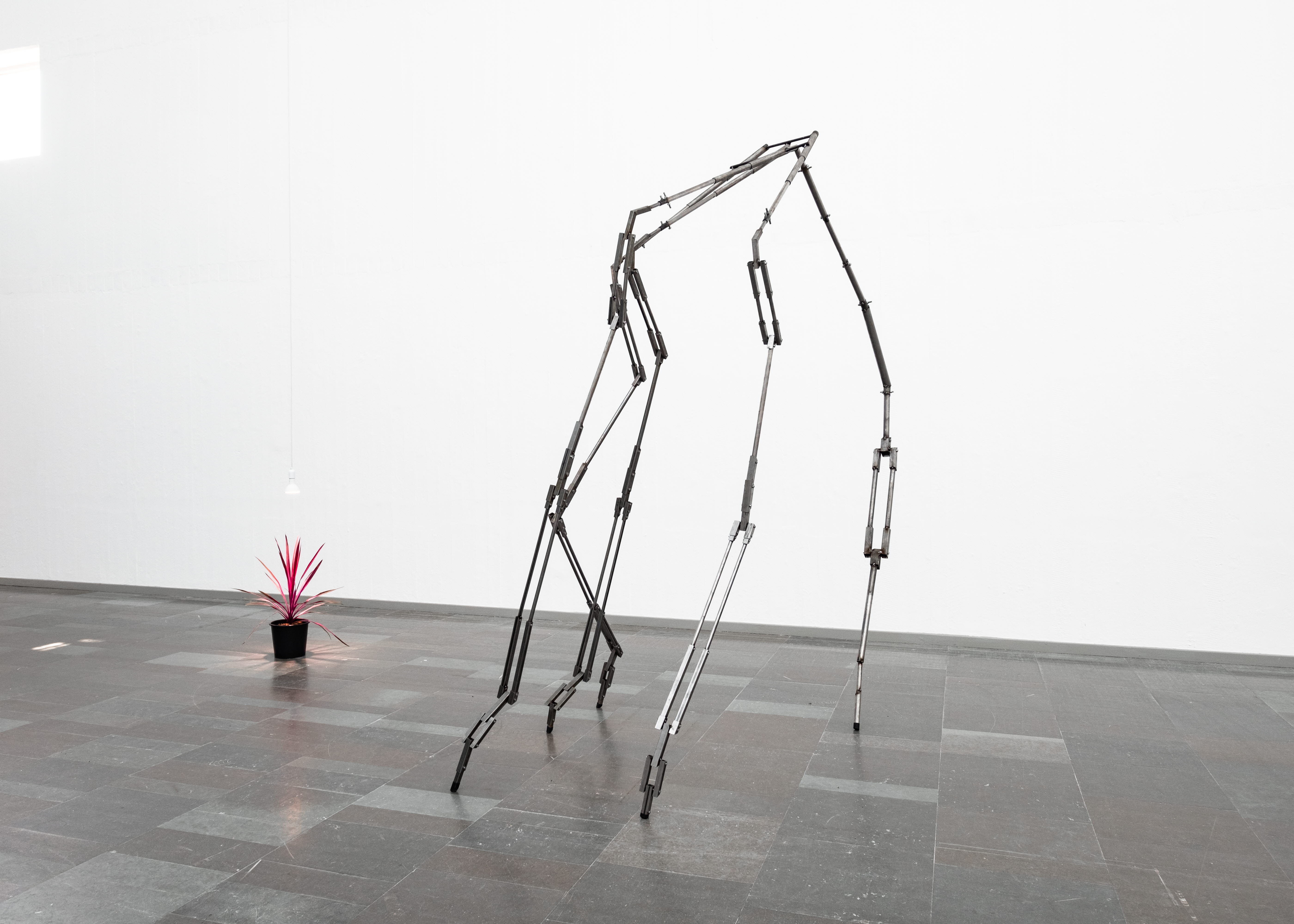 Installation view. Santiago Mostyn, The Warming Plaeau (pink plant) and Hanni Kamaly’s sculpture CRUTCHER