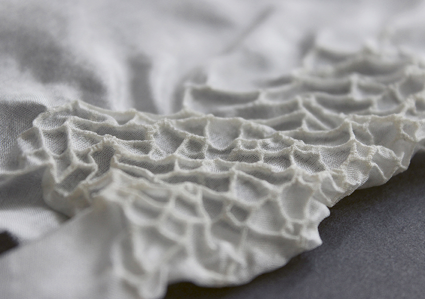 DYNAMIC AGAR by Dorothea Lang