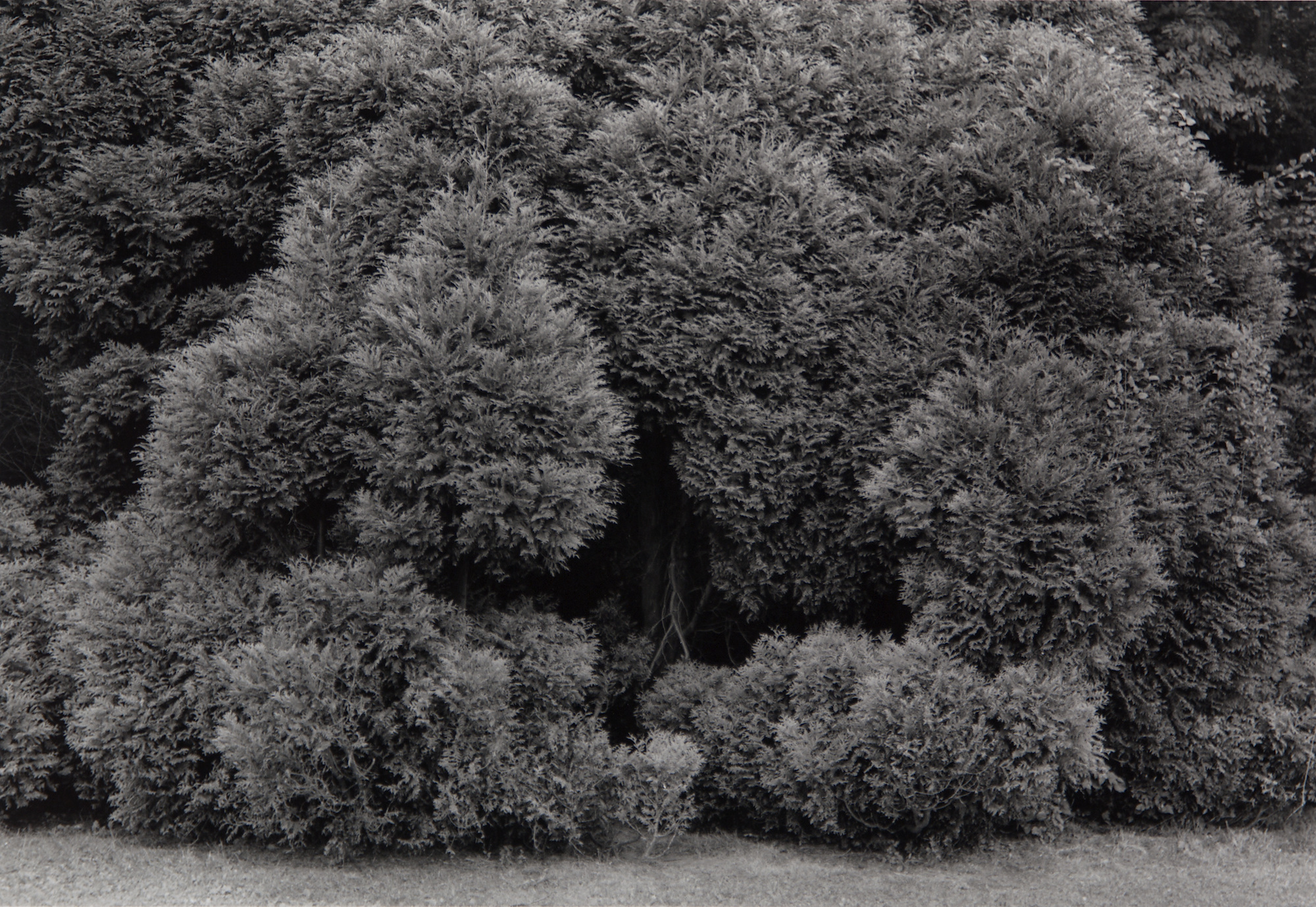 Sceaux (1981), silver gelatin print, 8 15/16 x 6 1/8 in.