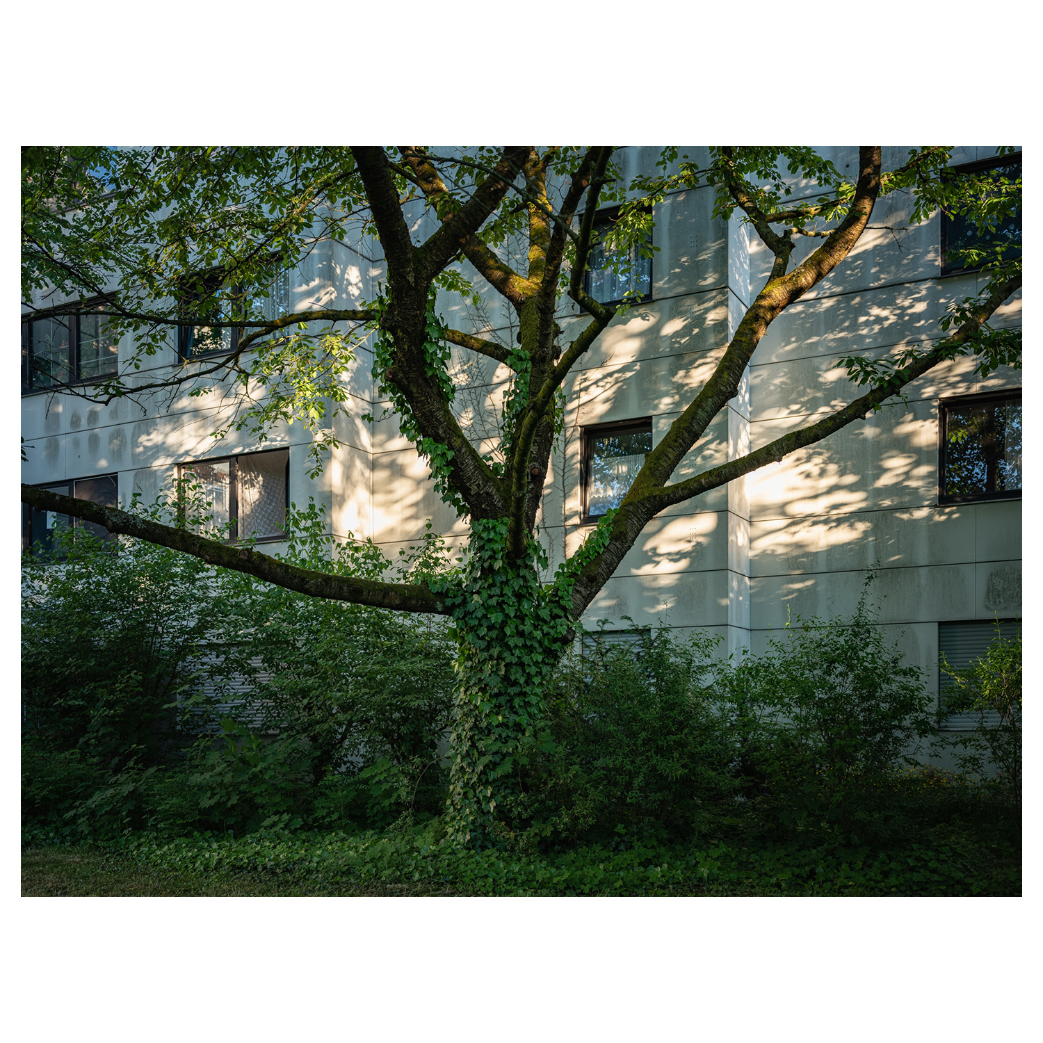 Letters from Nahariya