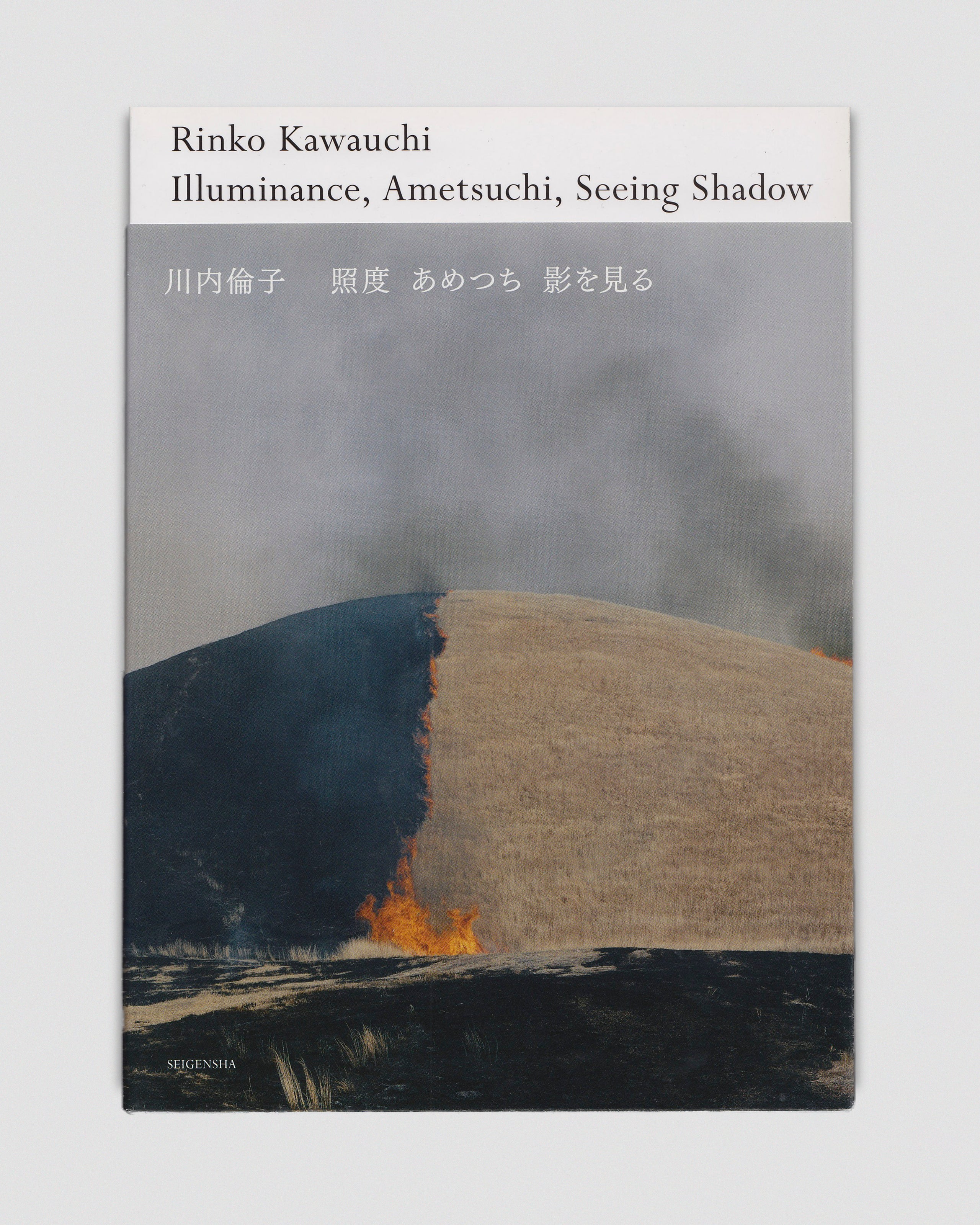 Illuminance, Ametsuchi, Seeing Shadow - Rinko Kawauchi - In Form