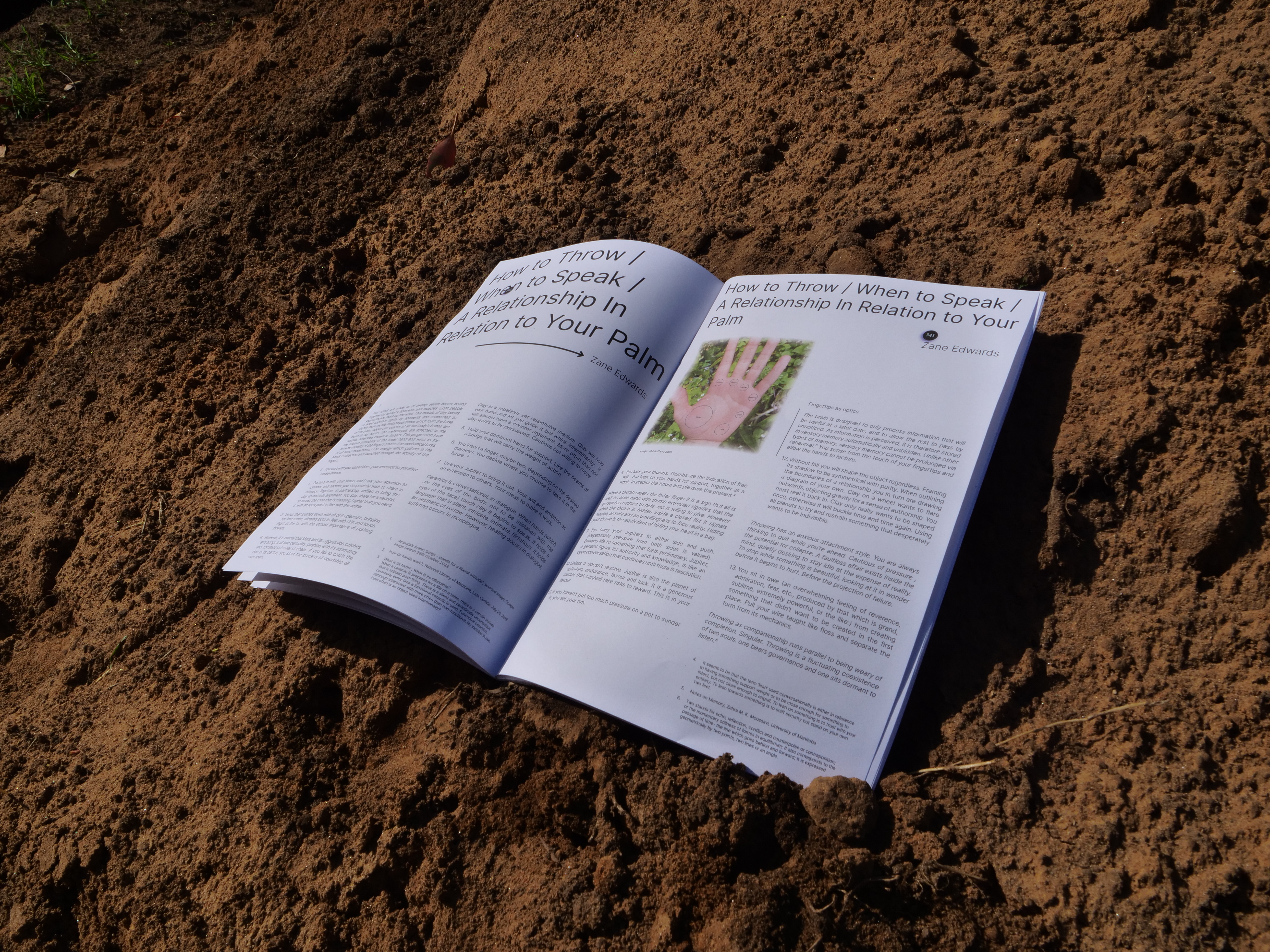 "How To Throw / When To Speak / A Relationship In Relation To Your Palm", Zane Edwards 2023