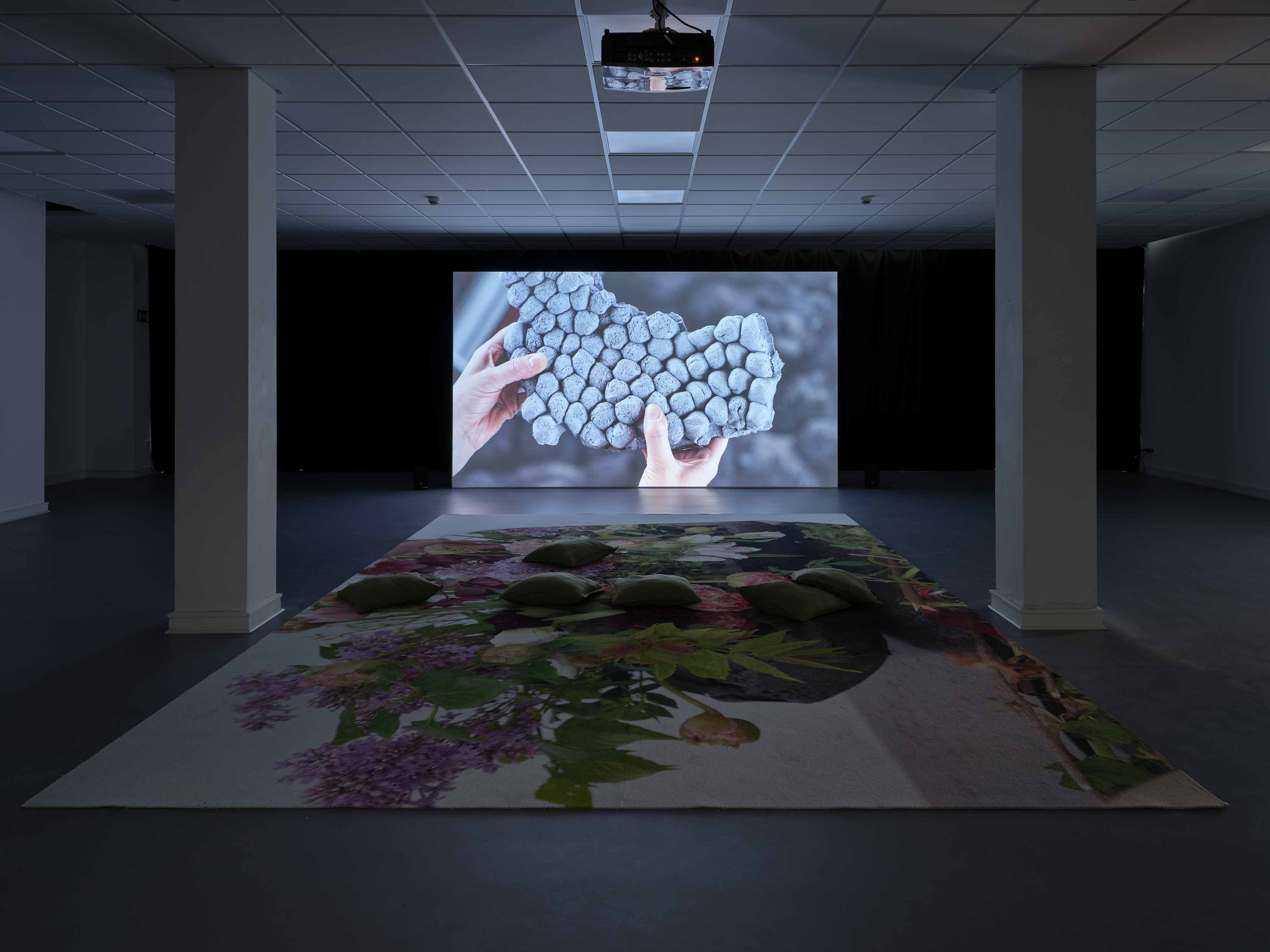 H₁ÉSH₂R̥  by PELES DUO at KUNSTVEREIN SIEGEN curated by JENNIFER CIERLITZA [from 20250412 to 20250622] [Photo: Simon Vogel]