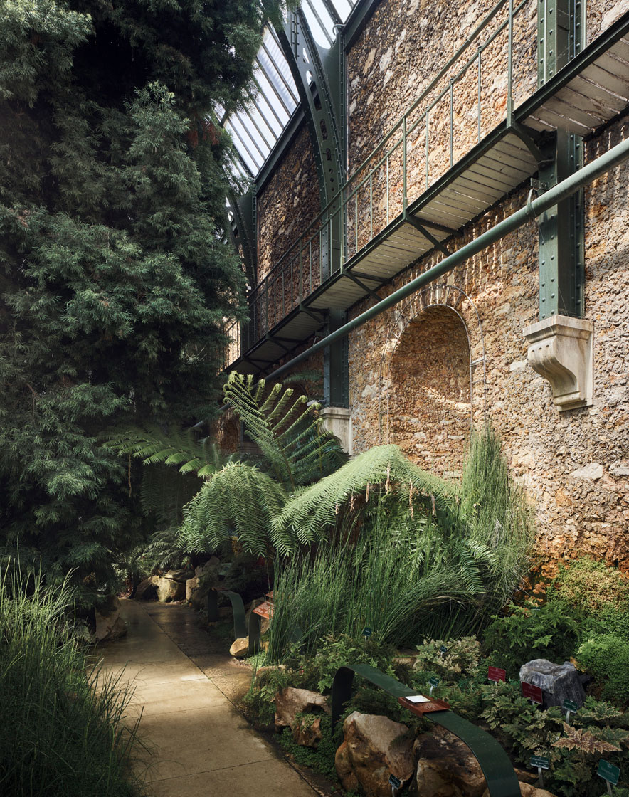 NATIONAL MUSEUM OF NATURAL HISTORY, PARIS 