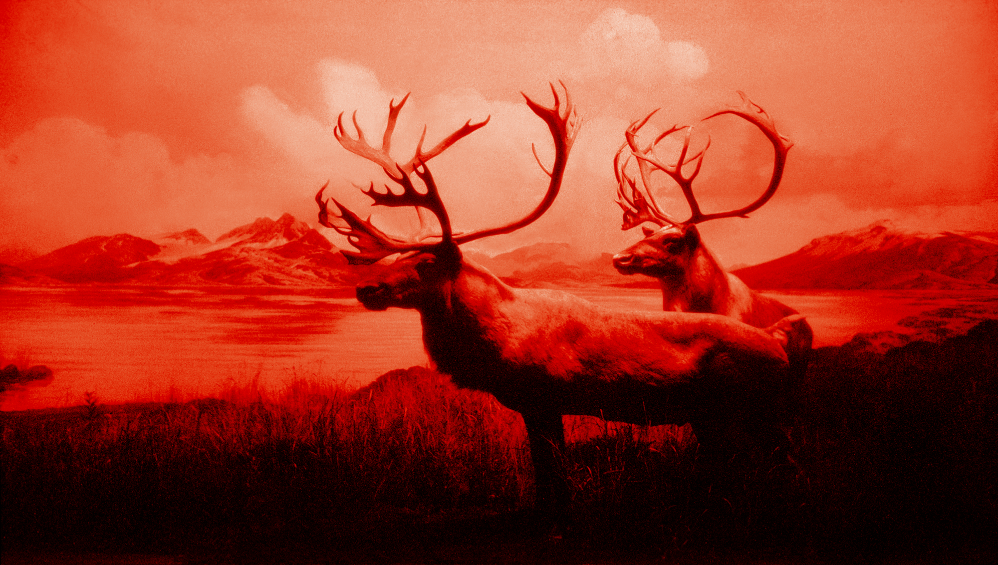 "AM MU NA HI / 6"  Giclée fine art print on Hahnemühle Watercolour paper / Variable dimensions / Edition of 6 