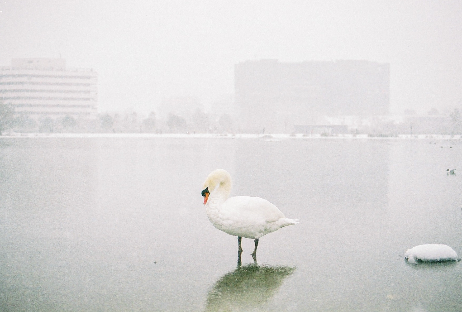 Montpellier, France, 2018.