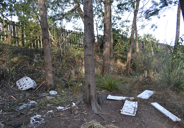 Fenced boundaries generate interstitial 'No Man's Land' spaces on the banks of the upper Te Whau River, Makaurau Auckland. Photograph: Antonia Lapwood