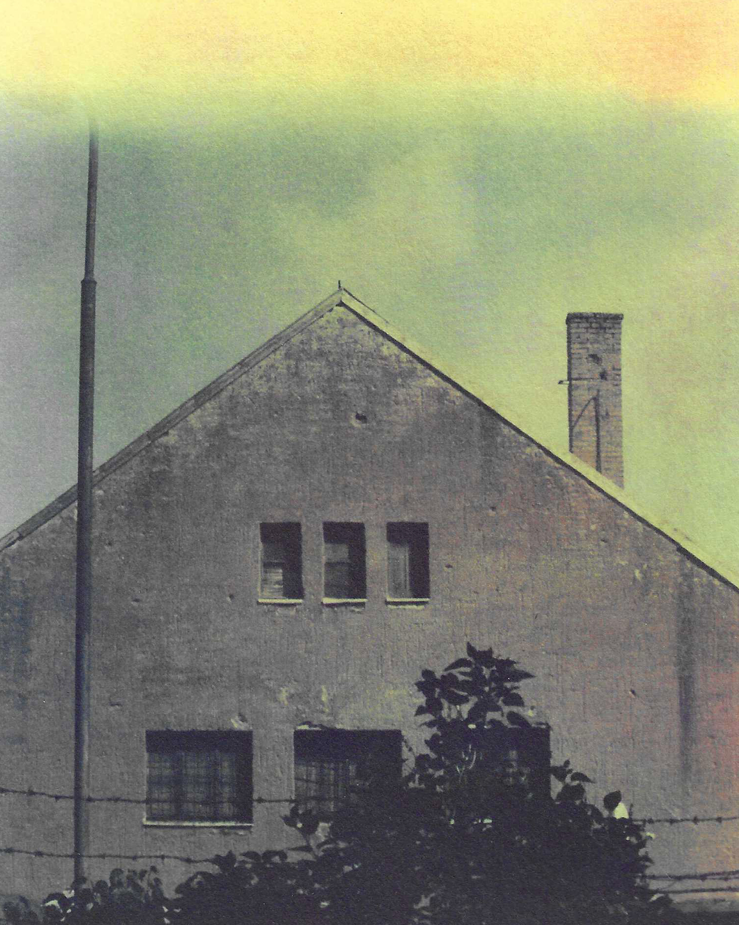 Tri-color gum bichromate print on paper, 13x18, 2023 