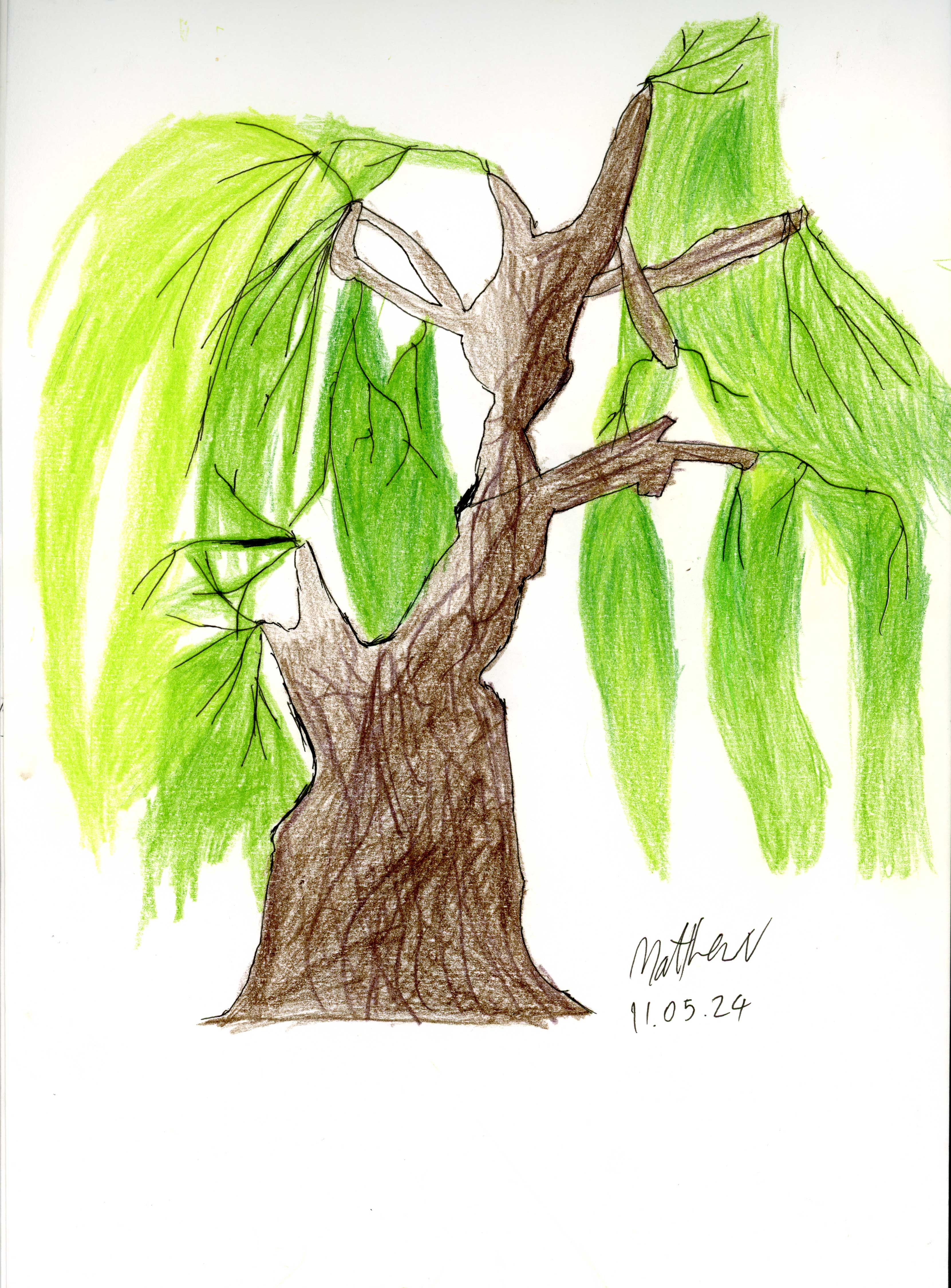 Students' work showcase