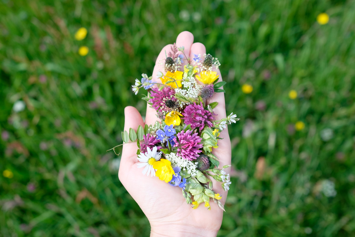 hand bouquets — Fine art photography prints & visual storytelling ...